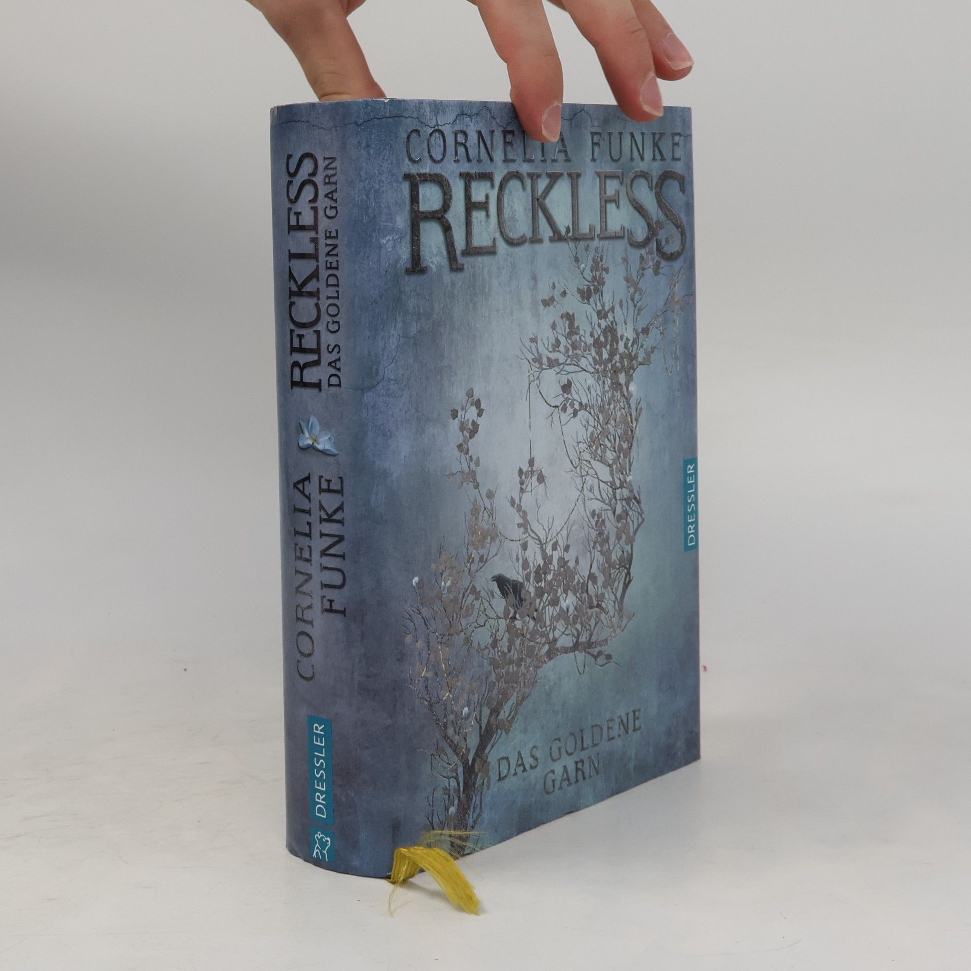 Cornelia Funke Reckless. Das goldene Garn