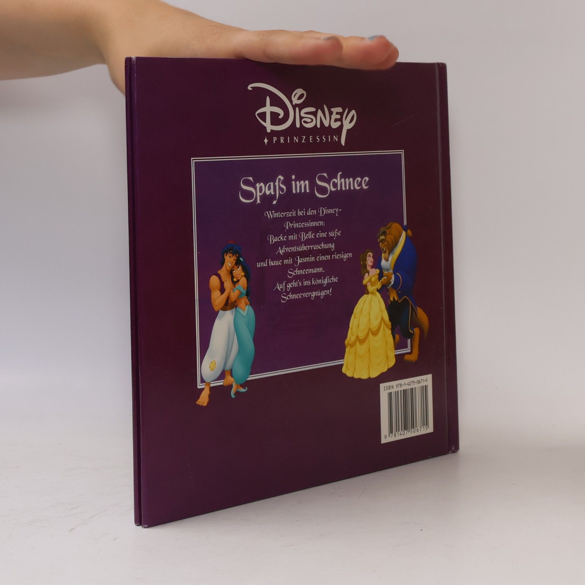 Walt Disney Spaß im Schnee. Bezaubernde Prinzessinnengeschichten