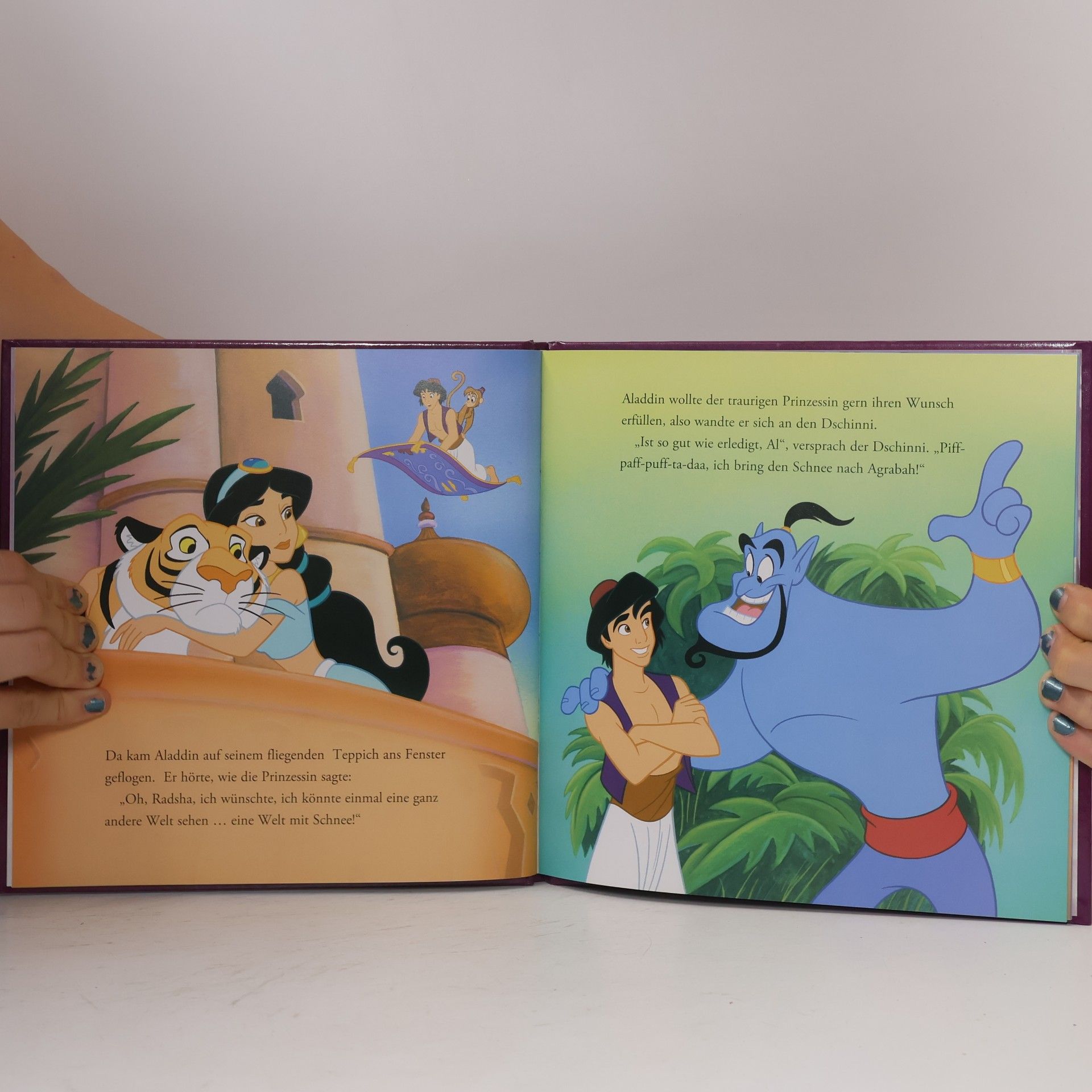 Walt Disney Spaß im Schnee. Bezaubernde Prinzessinnengeschichten