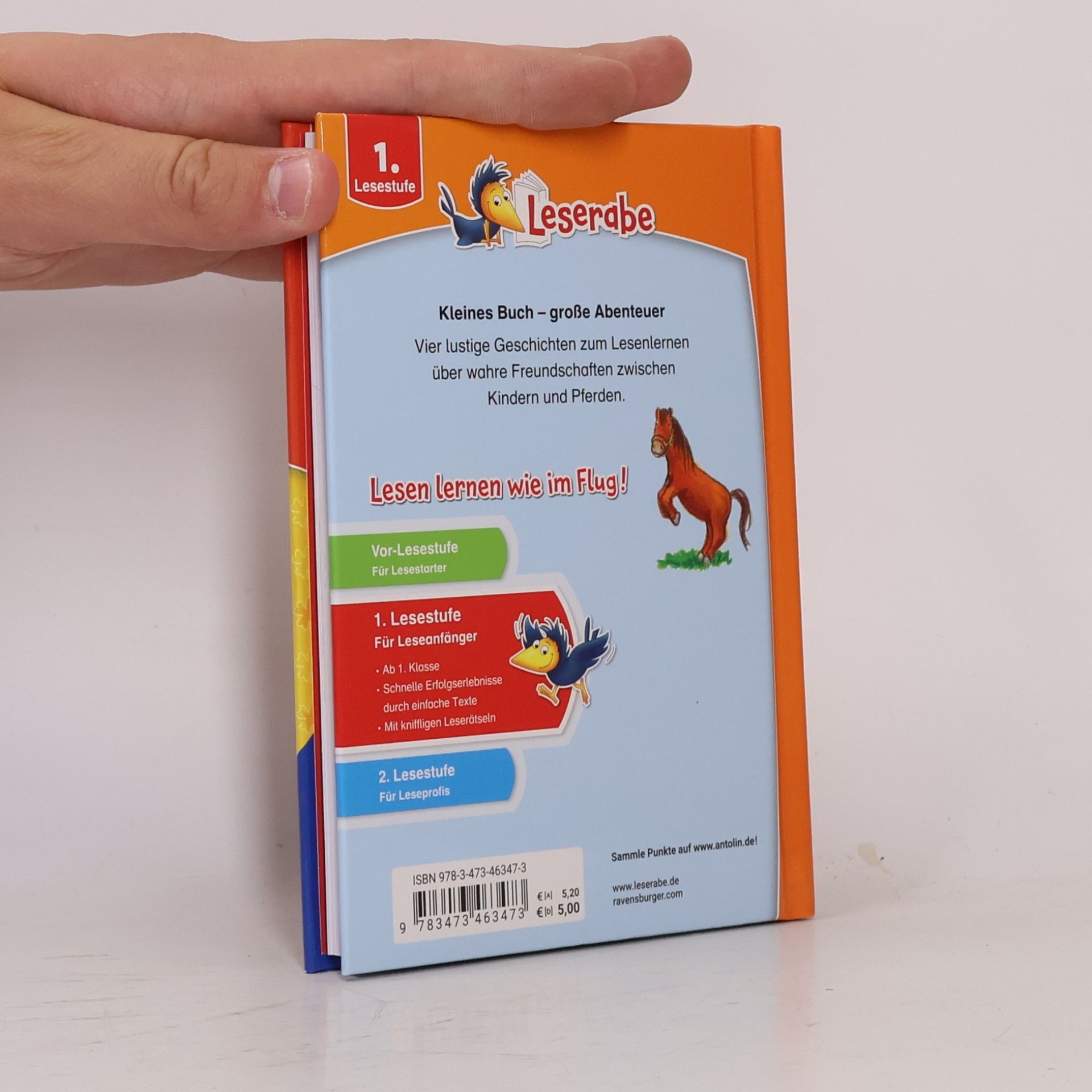 Doris Arend Erstlesegeschichten: Ponys und Pferde - Leserabe 1. Klasse - Erstlesebuch für Kinder ab 6 Jahren
