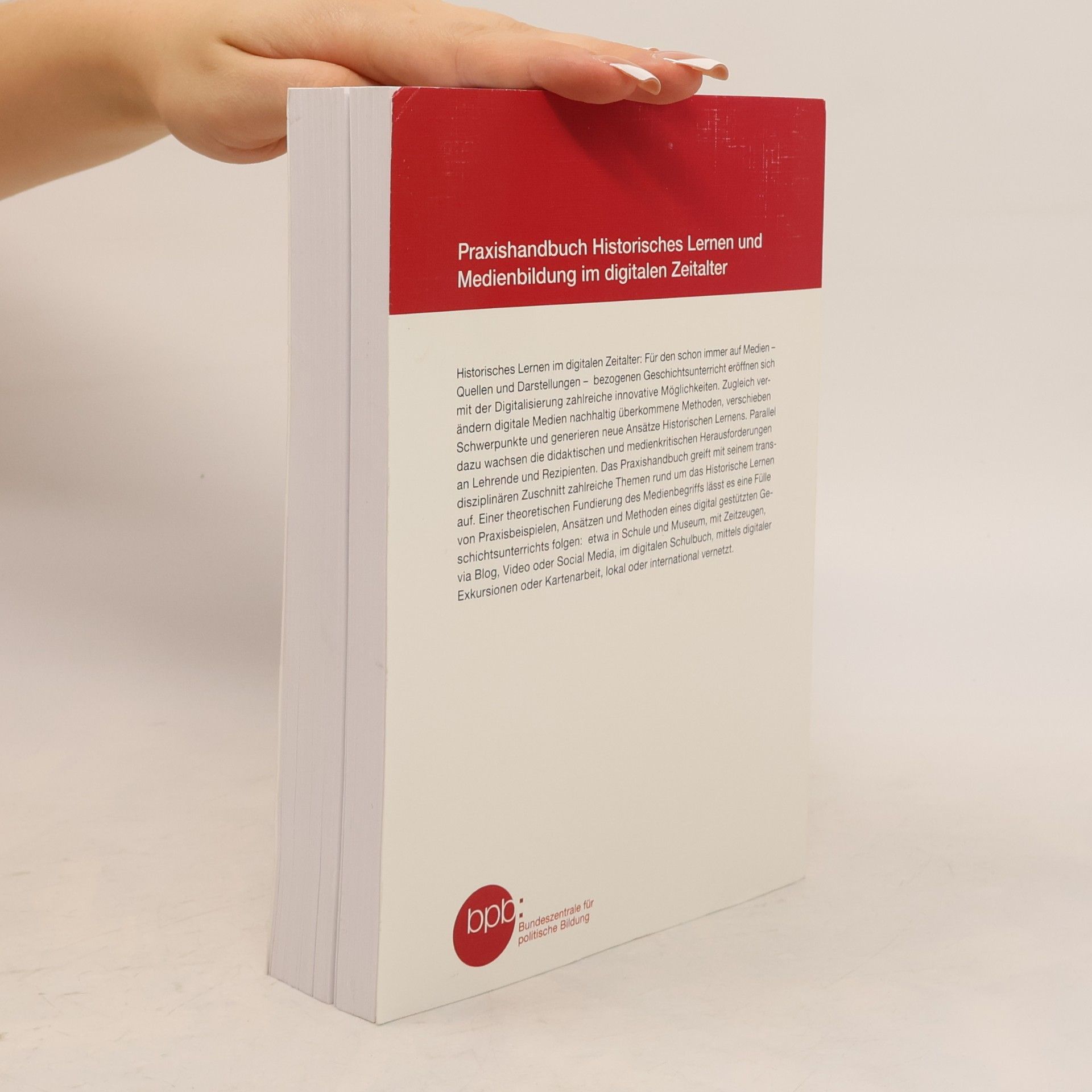 Daniel Bernsen Praxishandbuch historisches Lernen und Medienbildung im digitalen Zeitalter