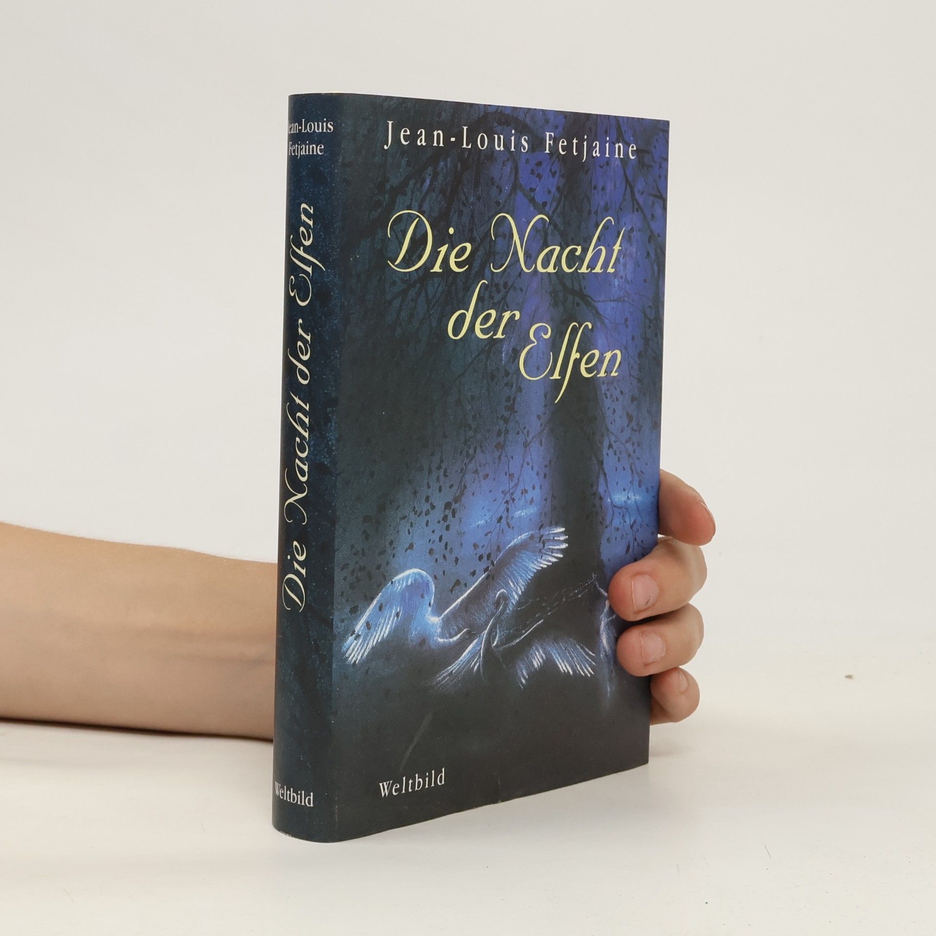 Jean-Louis Fetjaine Die Nacht der Elfen