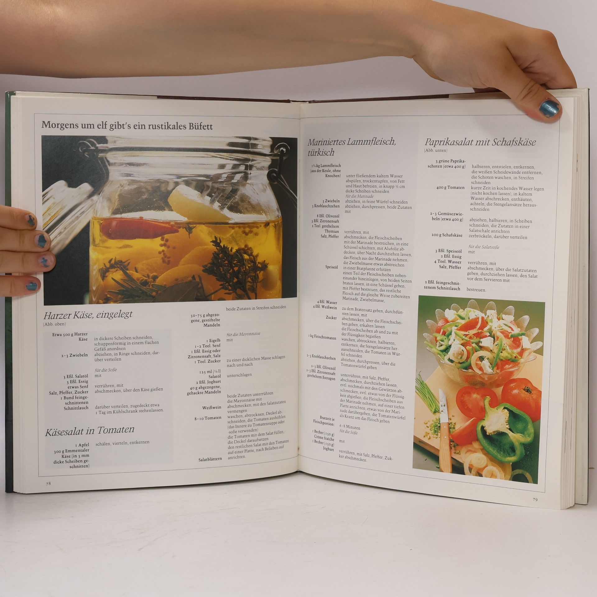 Kolektiv autorů Dr. Oetker Küchen-Bibliothek. Köstliche Kleinigkeiten morgen, zwischenburch und abends