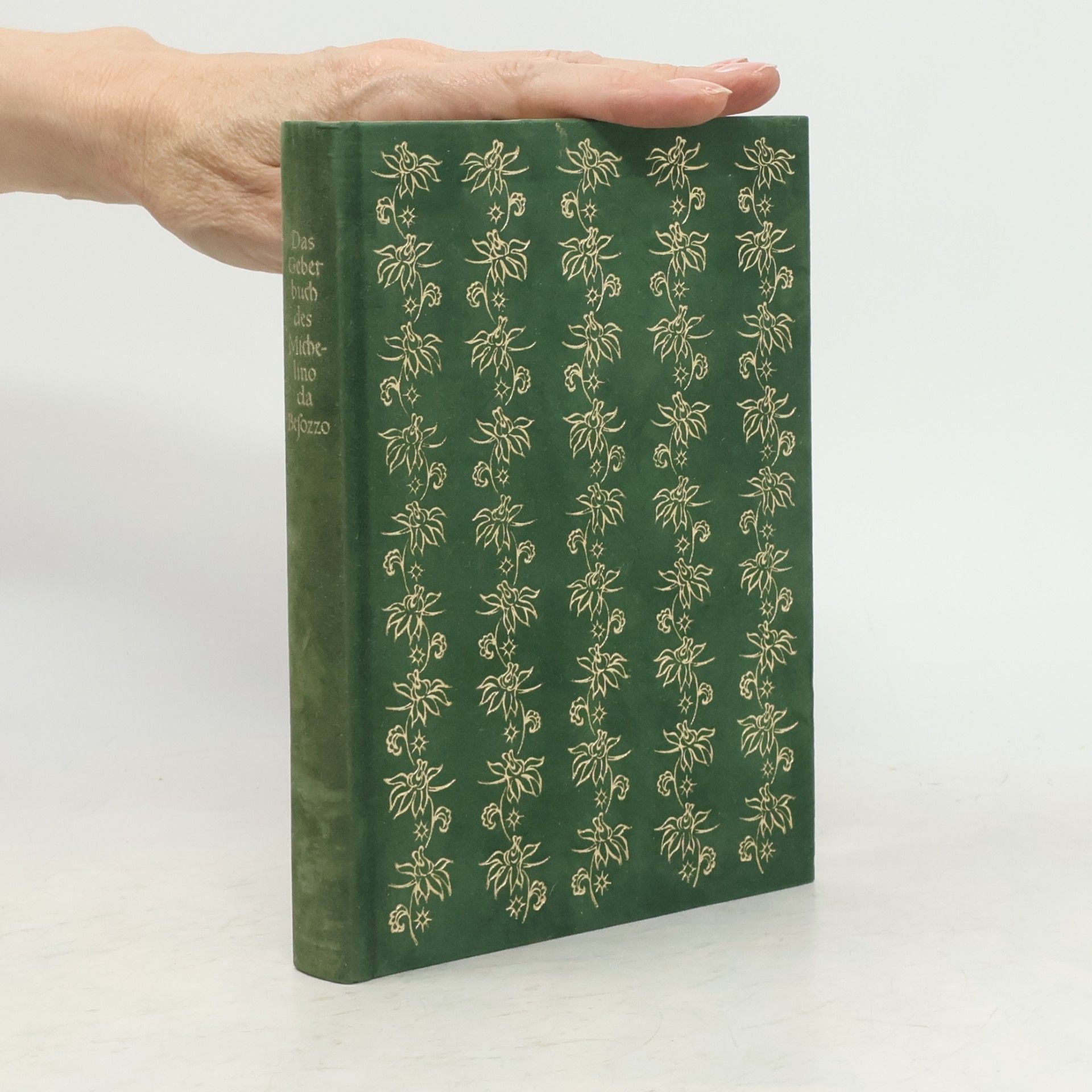 Das Gebetbuch des Michelino da Besozzo