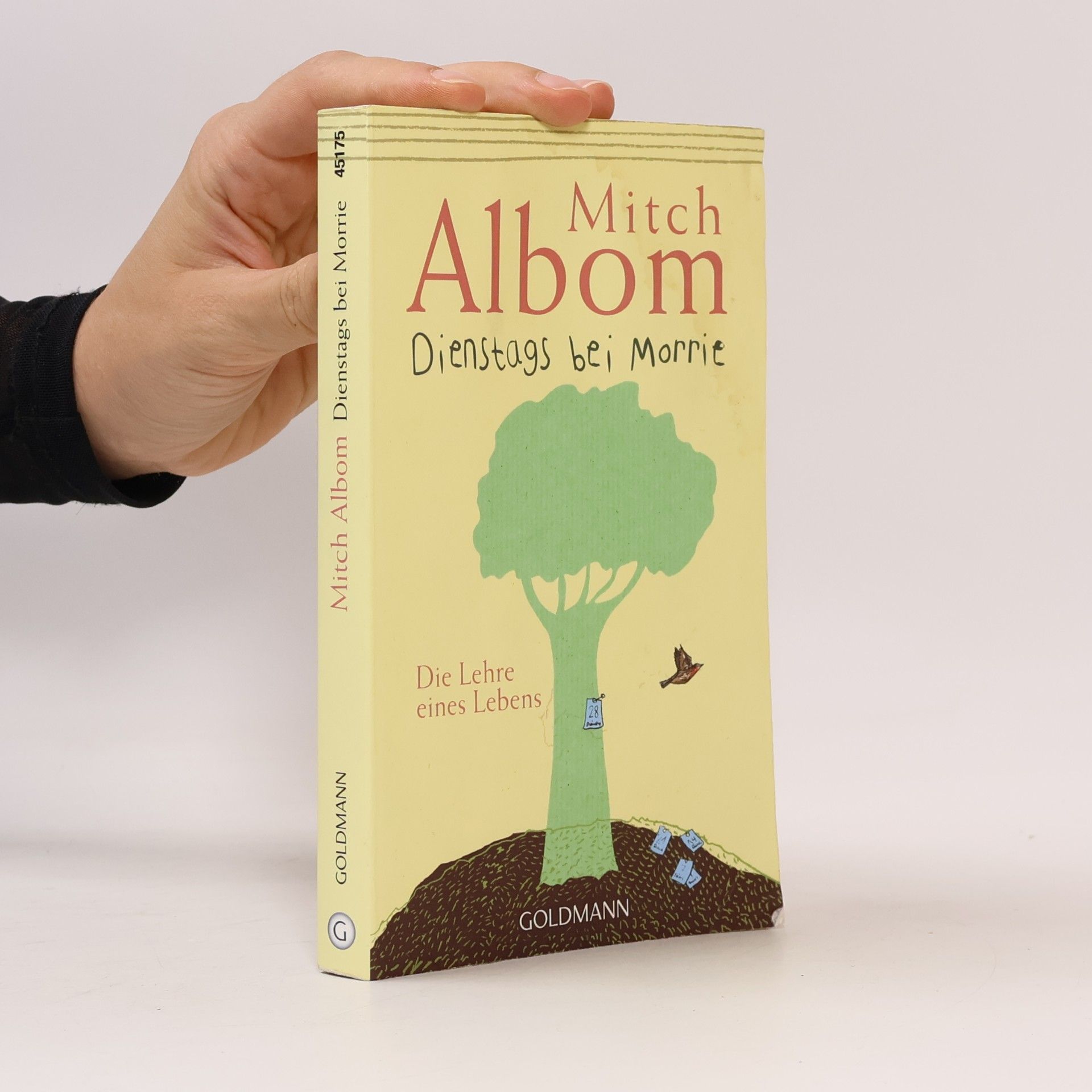 Mitch Albom Dienstags bei Morrie