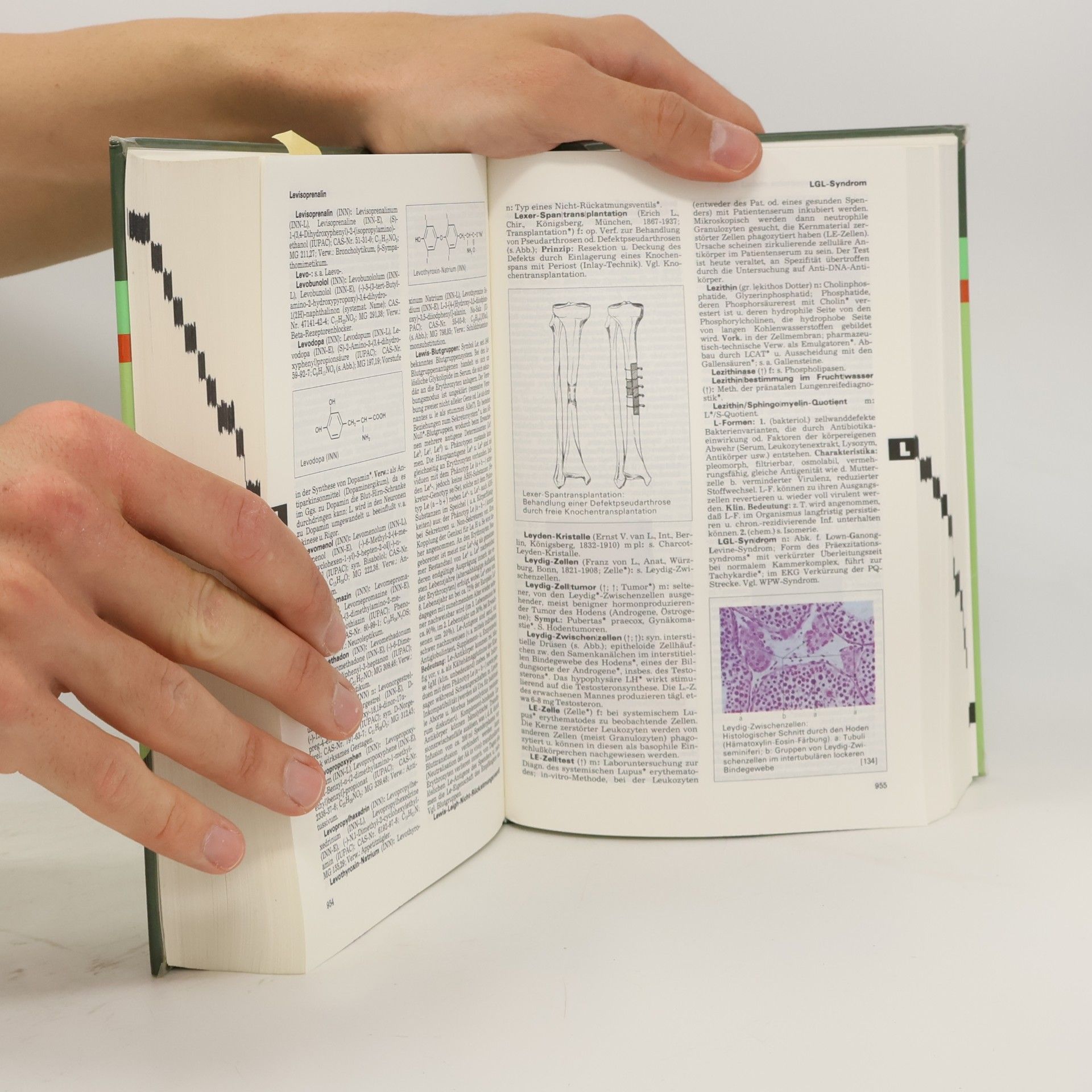 Willibald Pschyrembel Pschyrembel Klinisches Wörterbuch