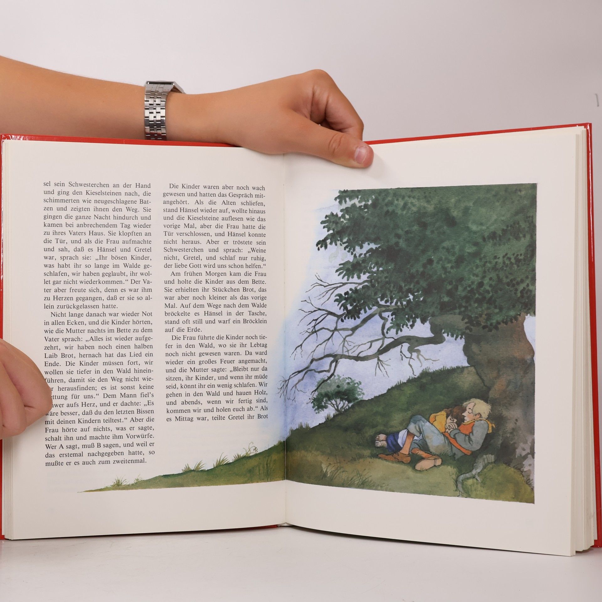 Autorenkollektiv Das große Buch der schönsten Märchen