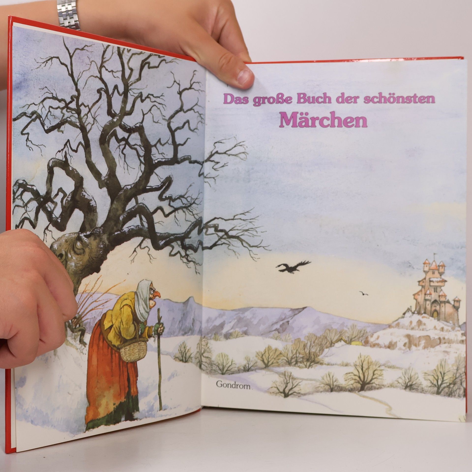 Autorenkollektiv Das große Buch der schönsten Märchen
