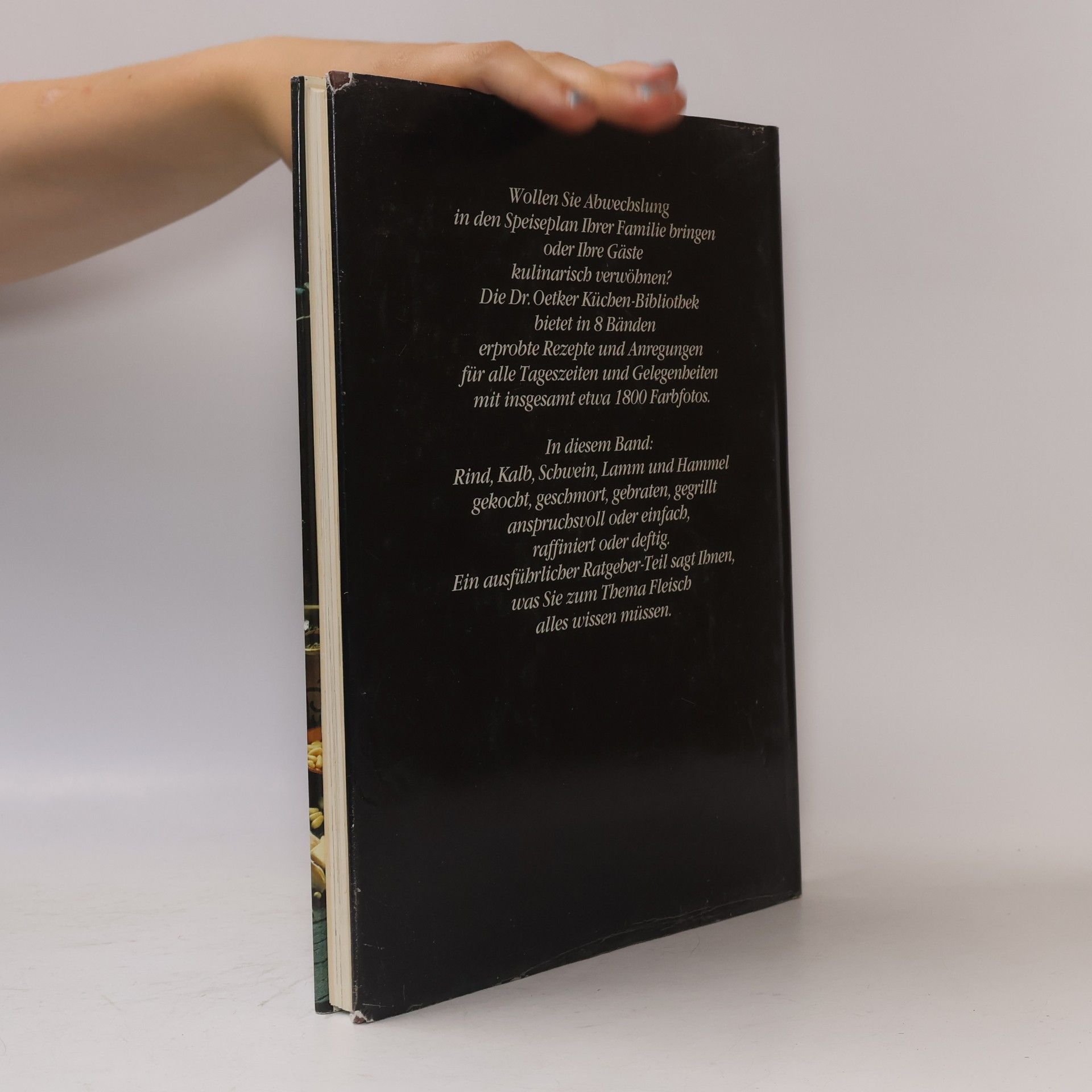 Autorenkollektiv Dr. Oetker Küchen-Bibliothek. Fleischgerichte