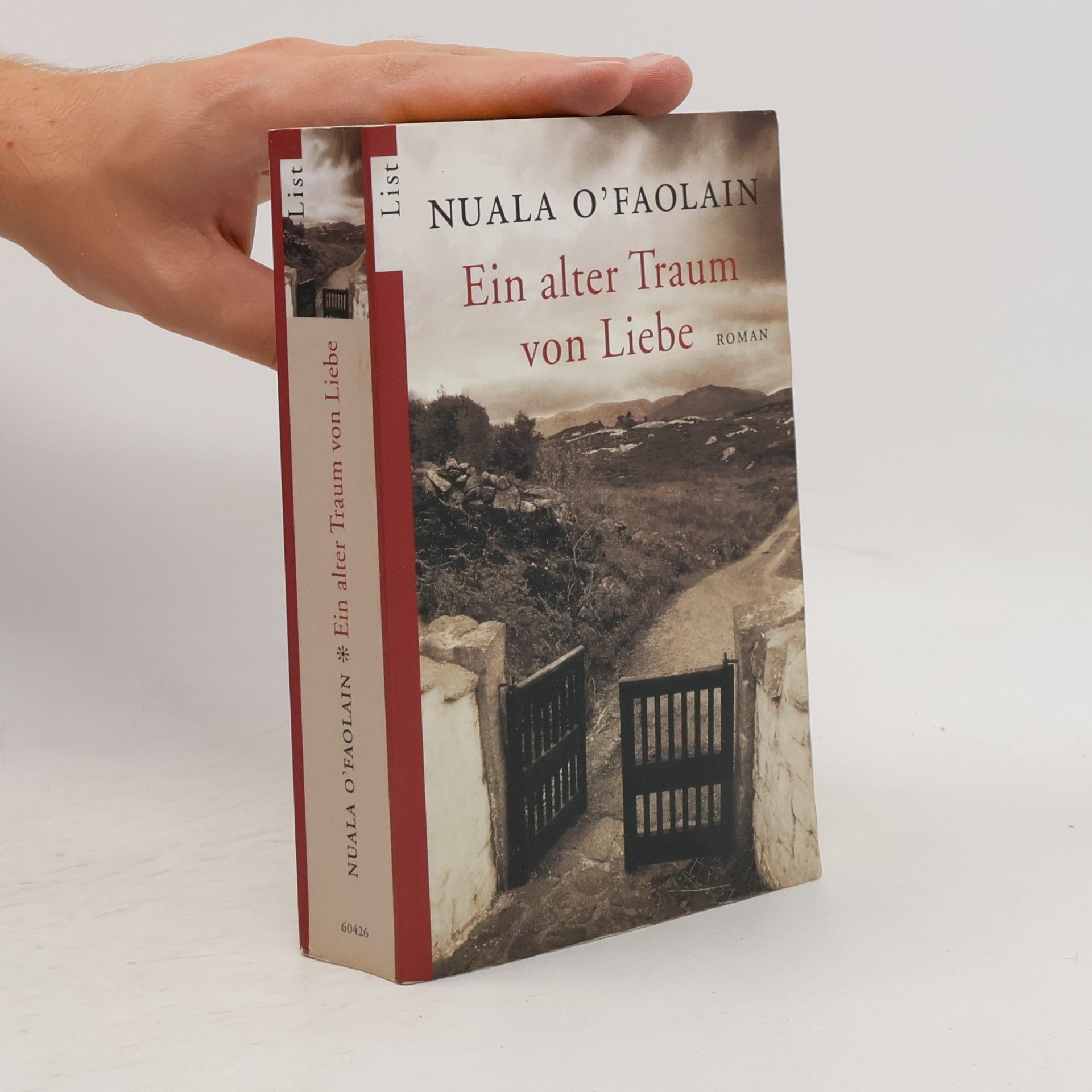 Nuala O. Faolain Ein alter Traum von Liebe
