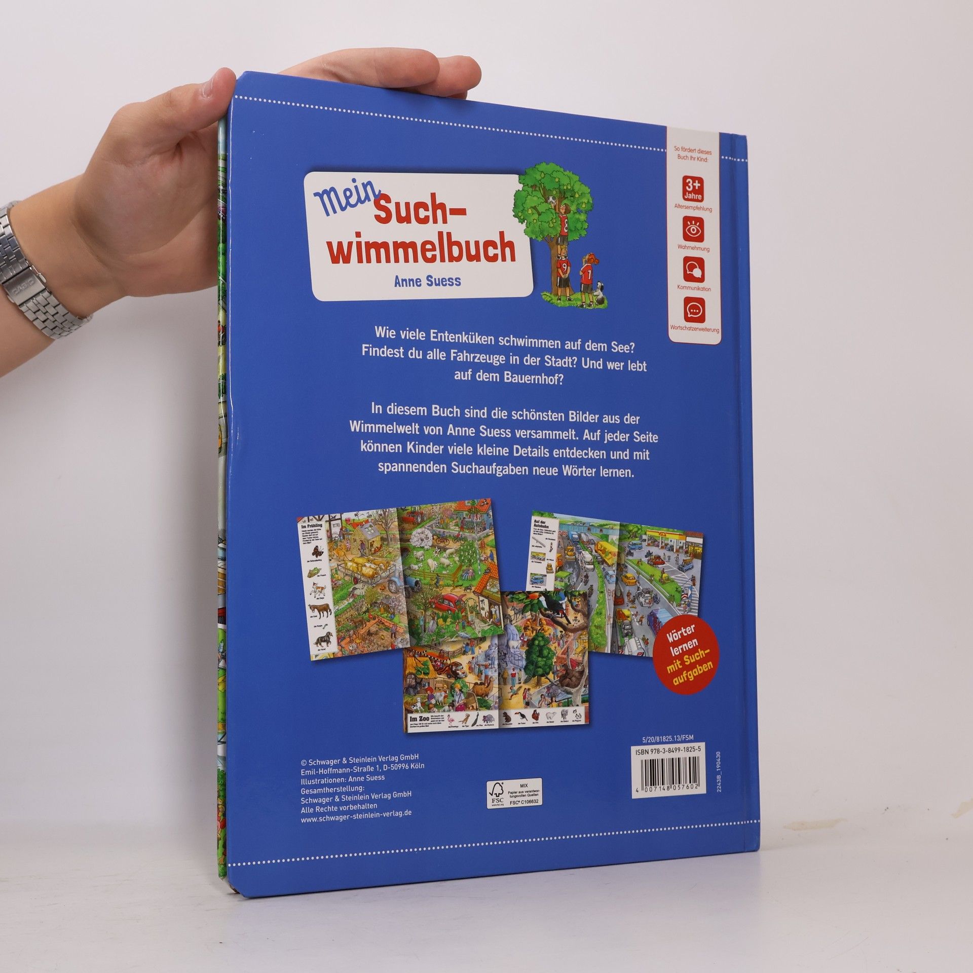 Anne Suess Mein Suchwimmelbuch