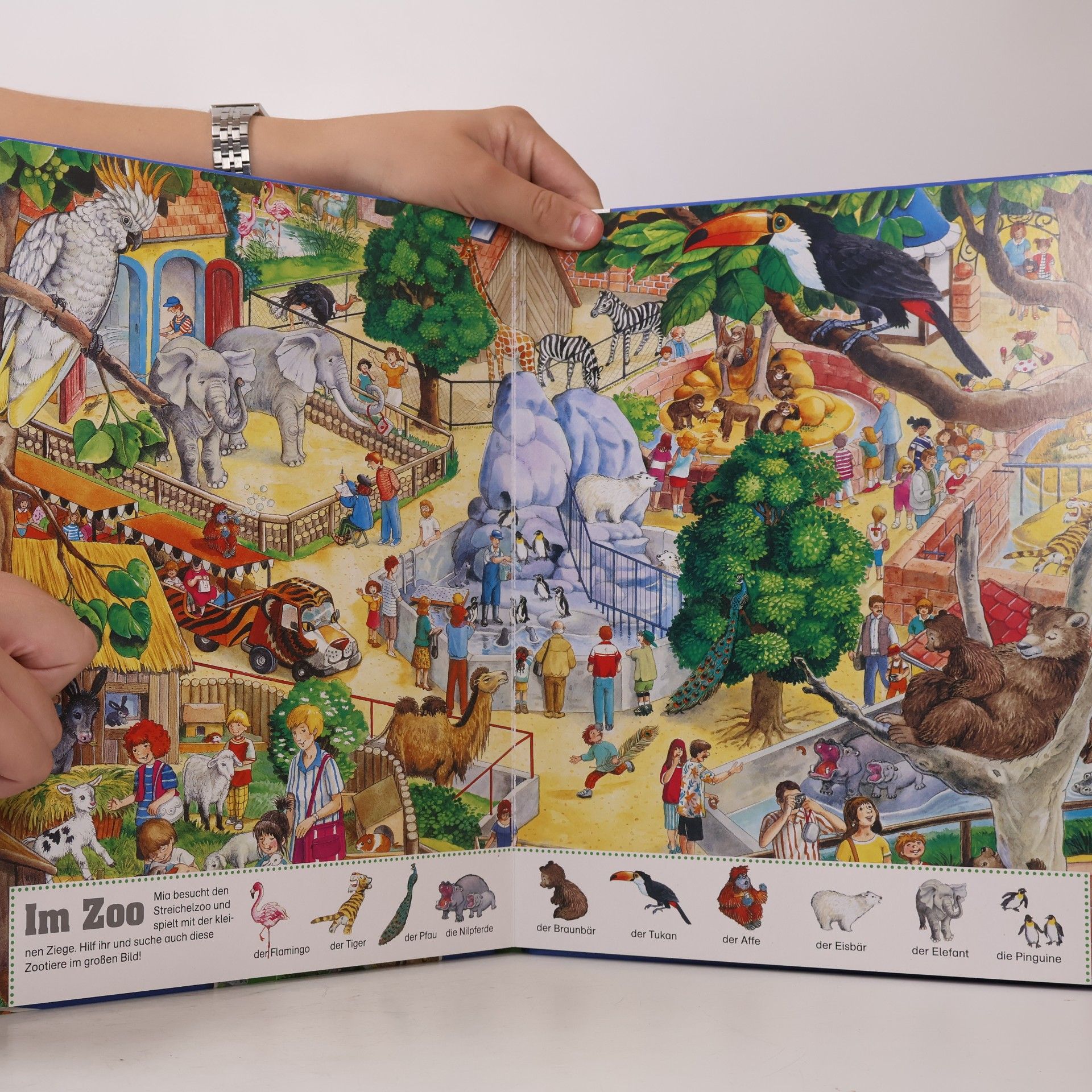 Anne Suess Mein Suchwimmelbuch