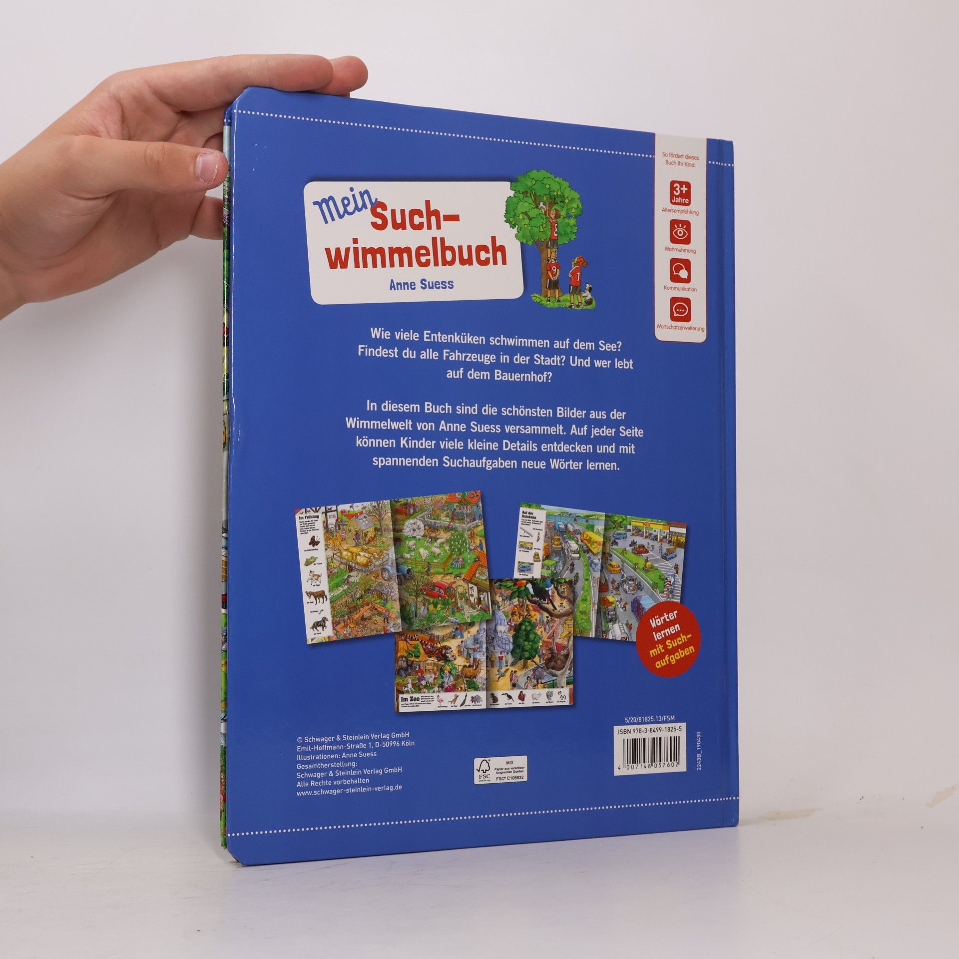 Anne Suess Mein Suchwimmelbuch