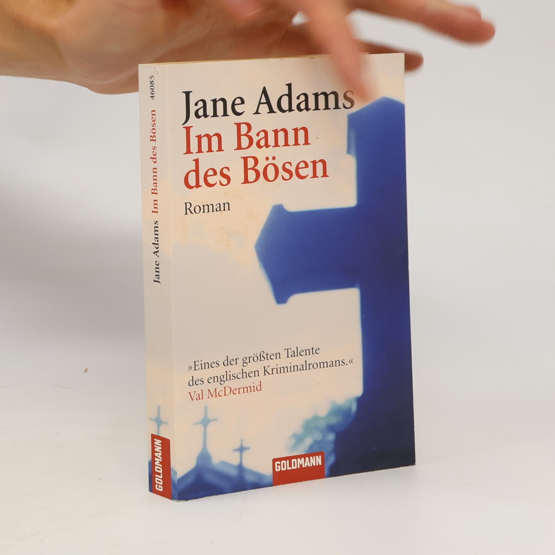 Karin Dufner Im Bann des Bösen. Roman