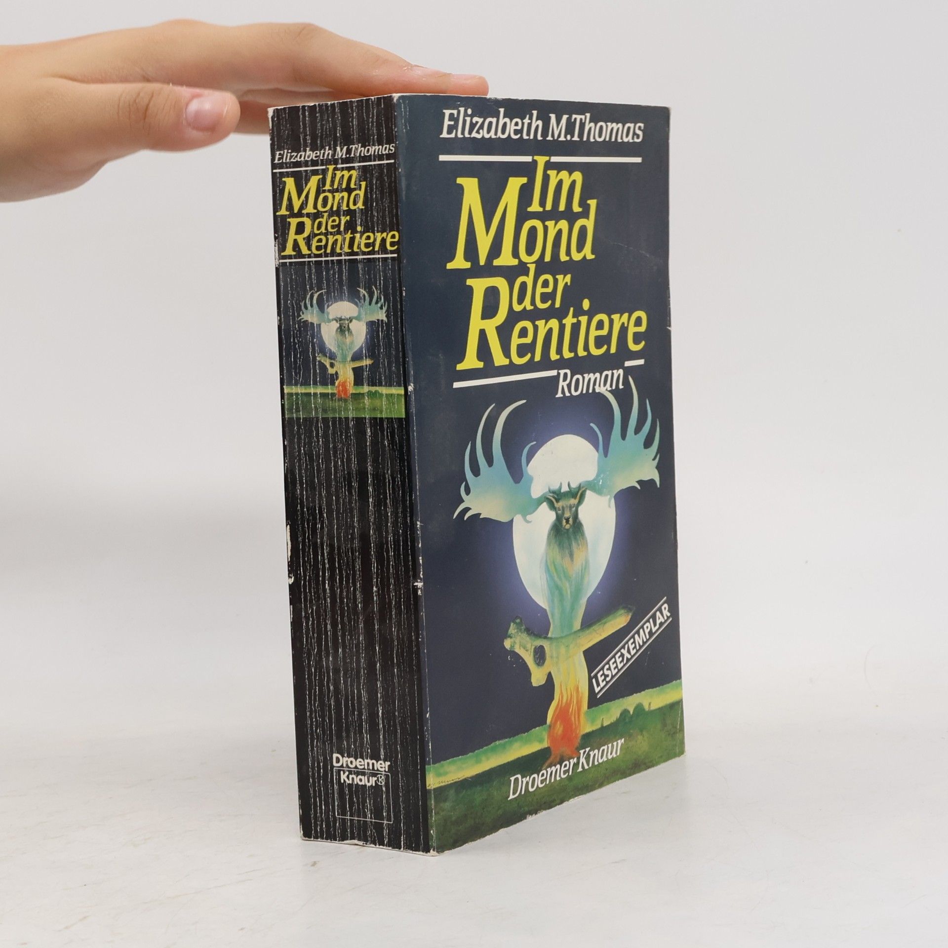 Im Mond der Rentiere. Roman