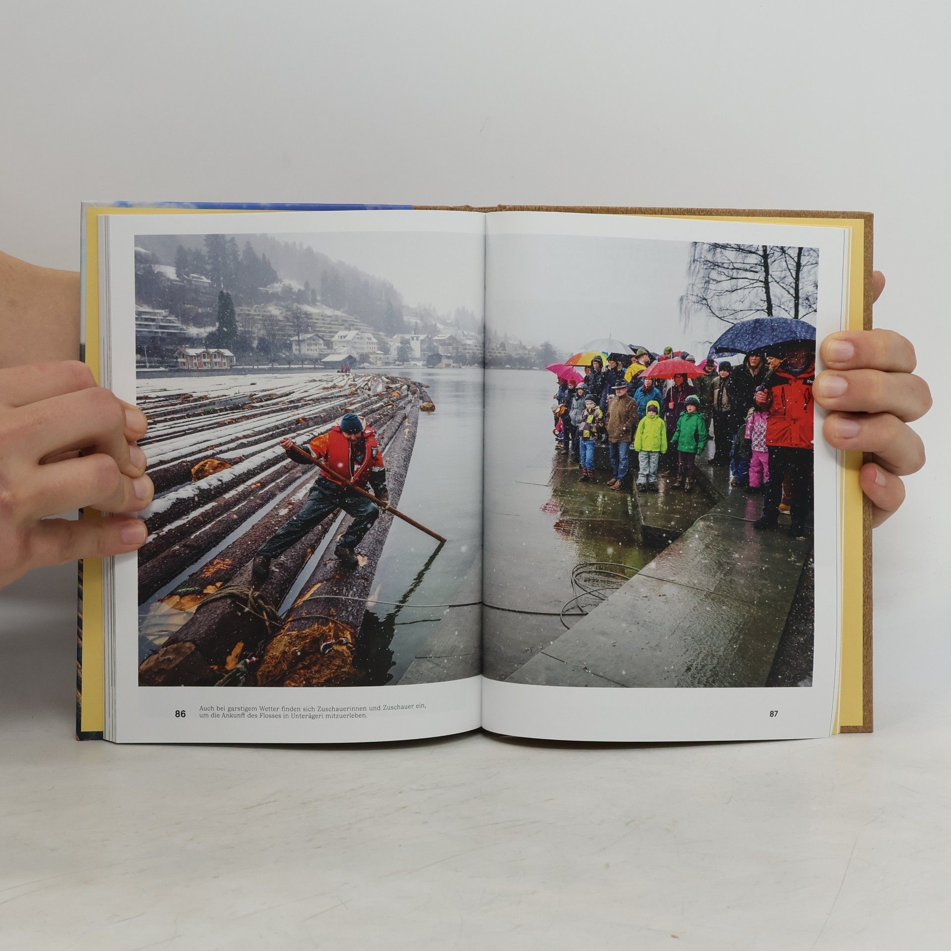 Collectif d'auteurs Typisch Schweiz