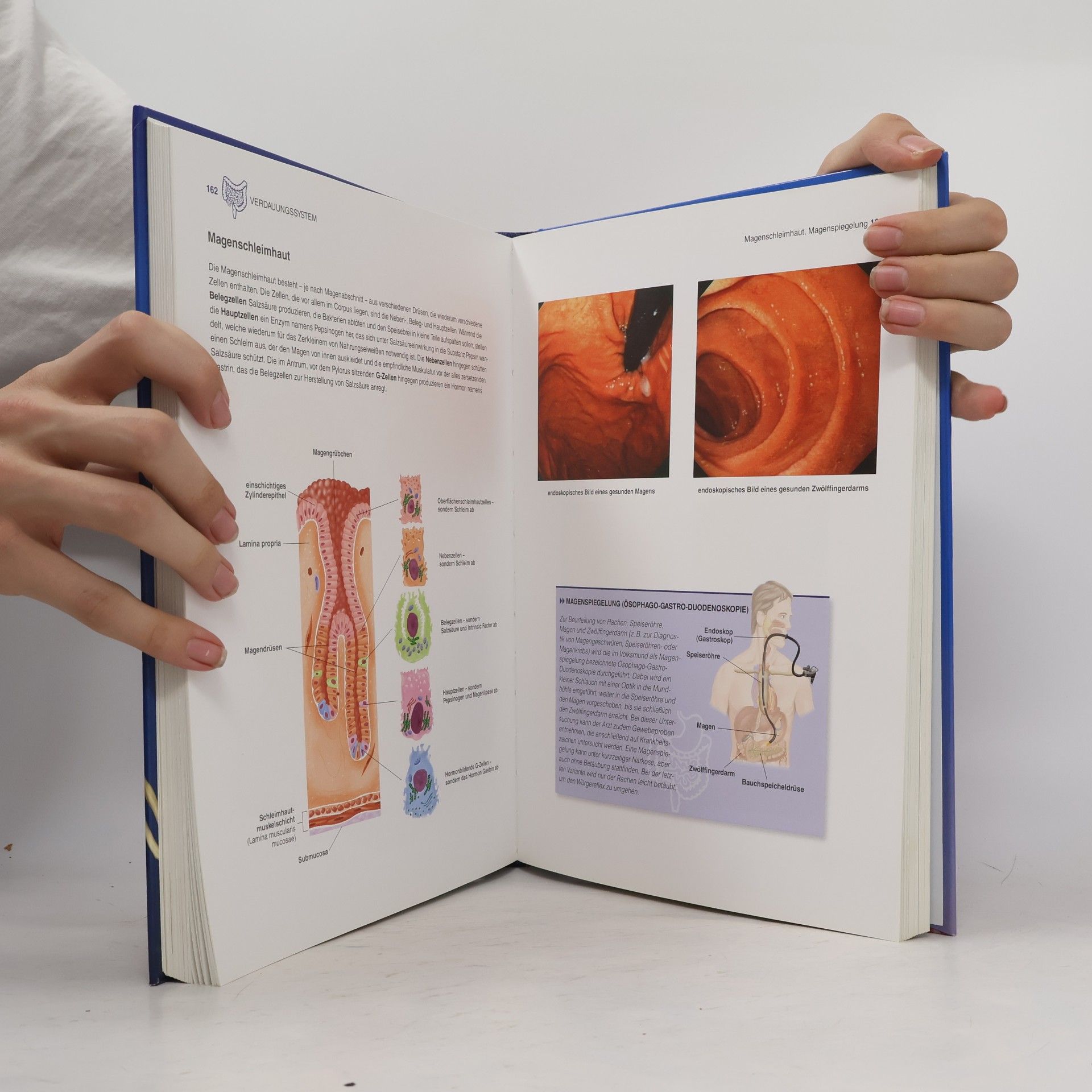 Michael Schuler Gesundheitsatlas anatomie