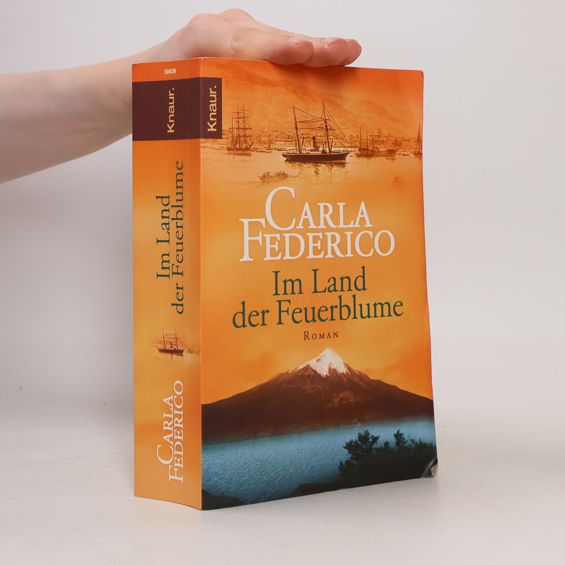 Carla Federico Im Land der Feuerblume