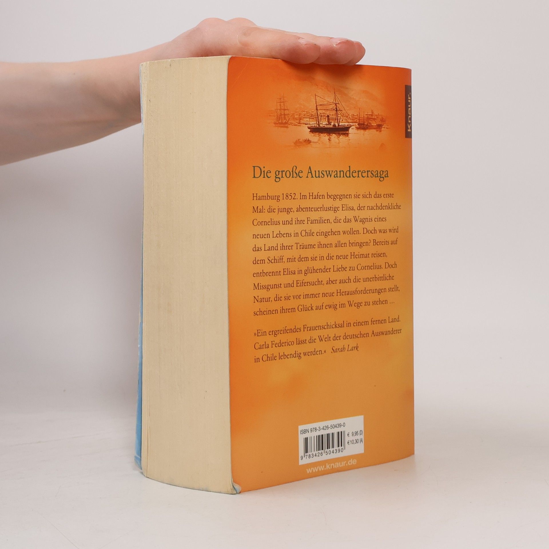 Carla Federico Im Land der Feuerblume