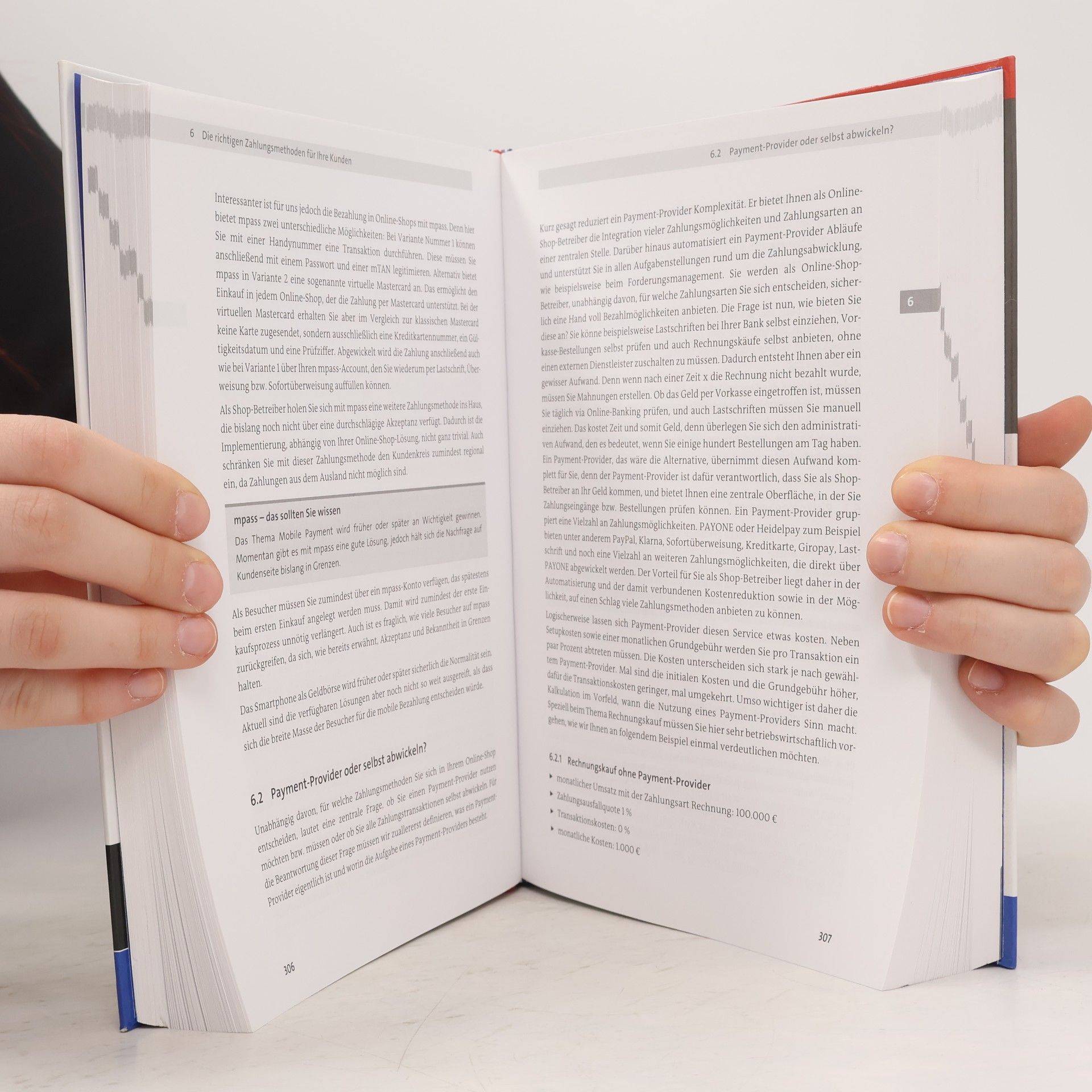 Alexander Steireif Handbuch Online-Shop