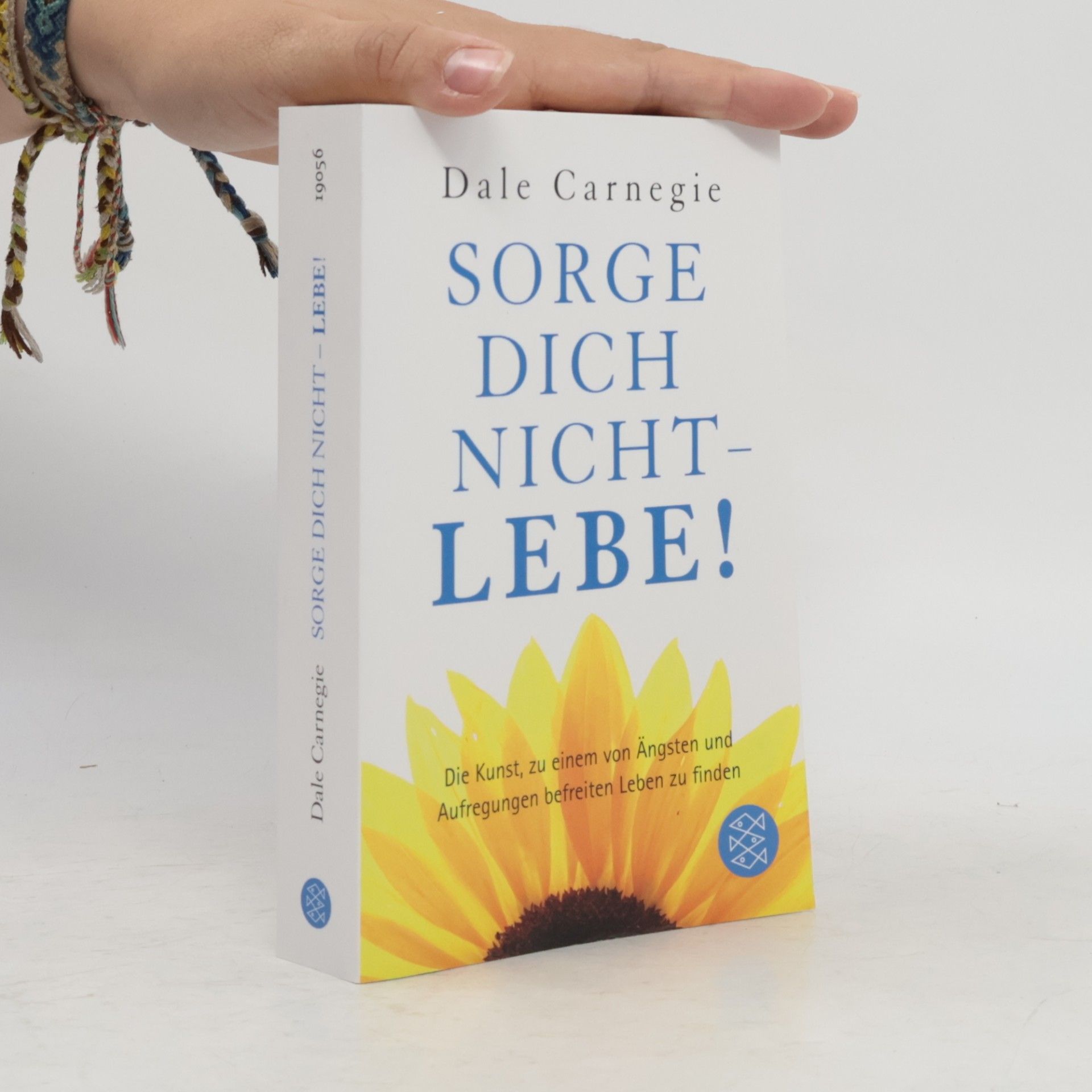 Dale Carnegie Sorge dich nicht - lebe!