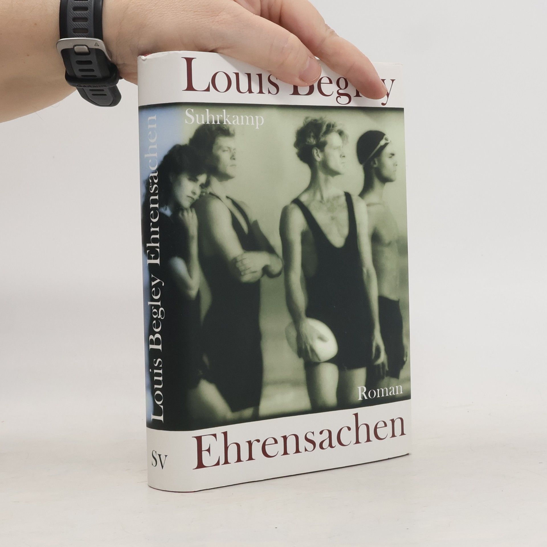Louis Begley Ehrensachen