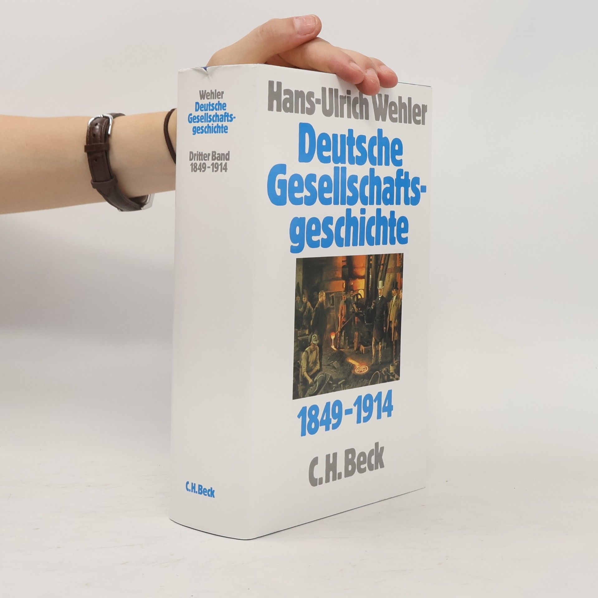 Hans-Ulrich Wehler Deutsche Gesellschaftsgeschichte Bd. 3: Von der 'Deutschen Doppelrevolution' bis zum Beginn des Ersten Weltkrieges 1849-1914 / Deutsche Gesellschaftsgeschichte Bd.3