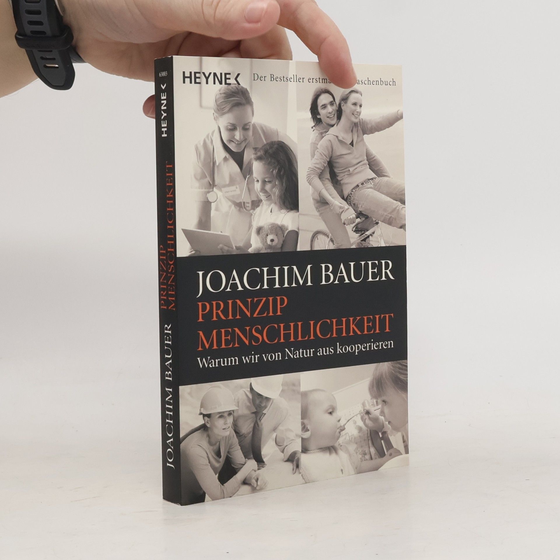 Prinzip Menschlichkeit
