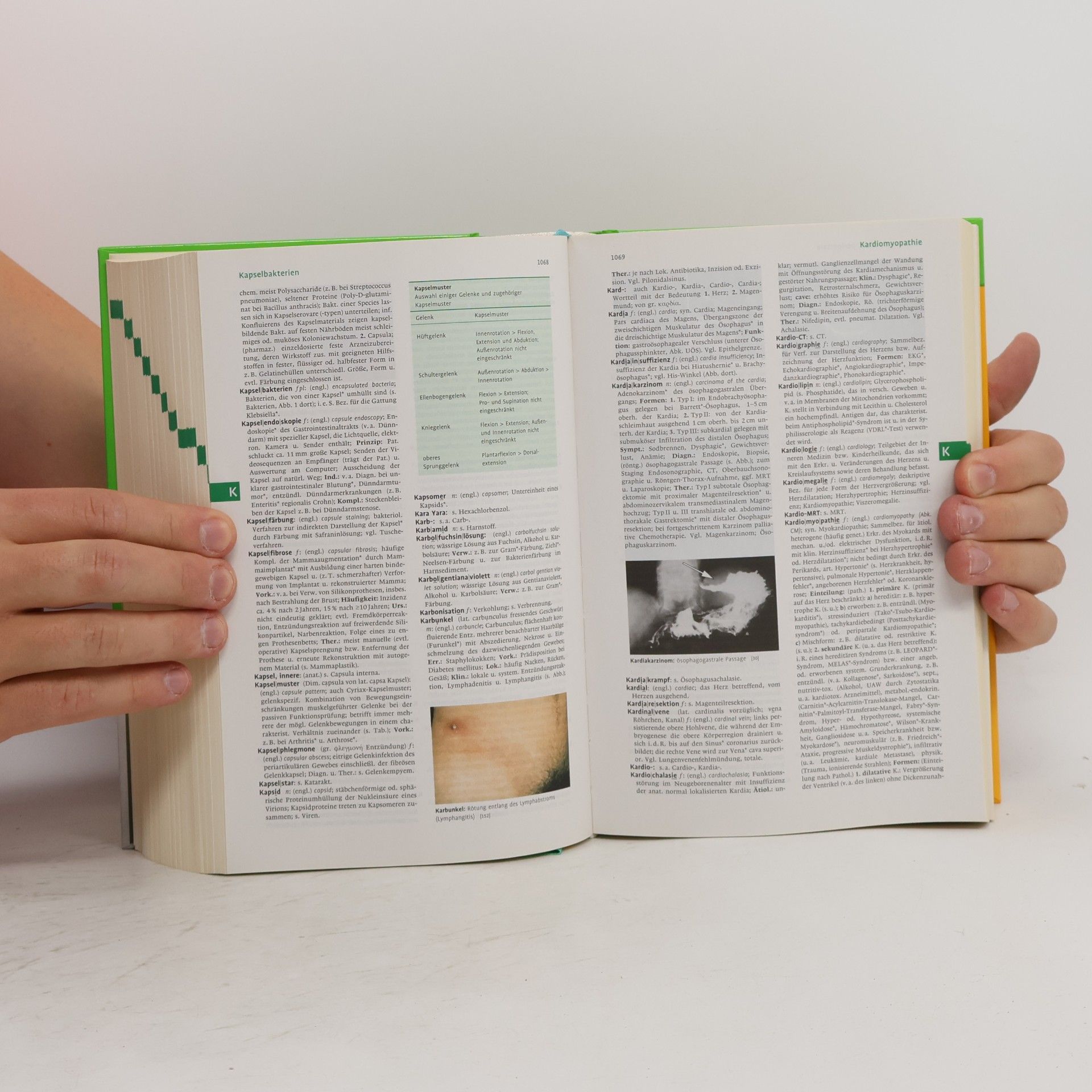 Willibald Pschyrembel Pschyrembel Klinisches Wörterbuch (2014)