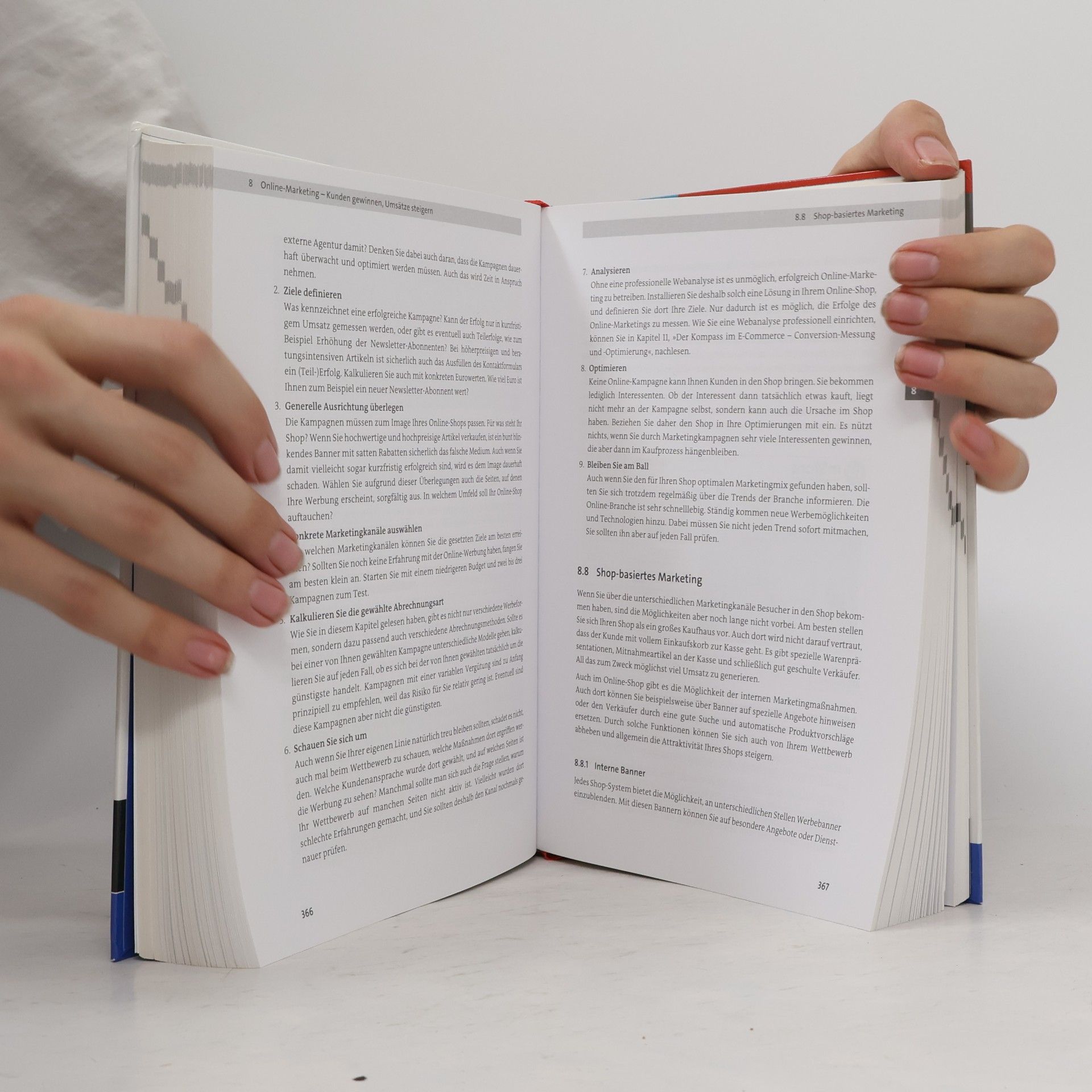 Alexander Steireif Handbuch Online-Shop
