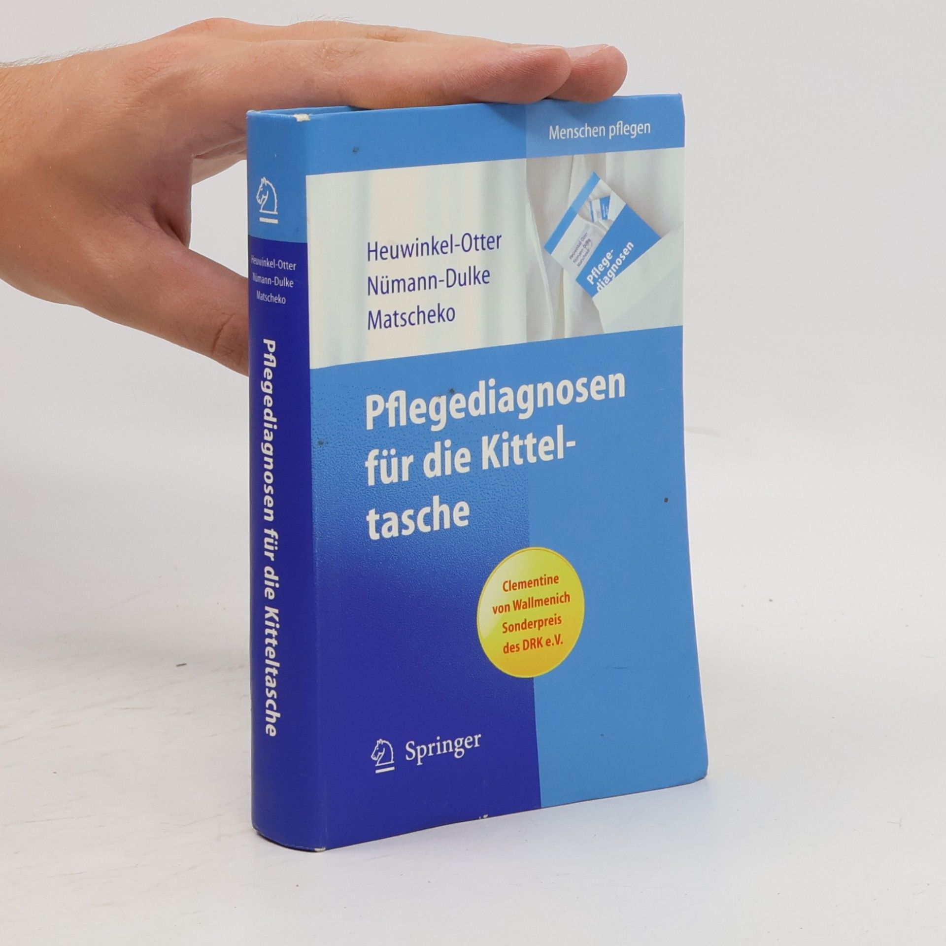 Annette Nümann-Dulke Pflegediagnosen für die Kitteltasche