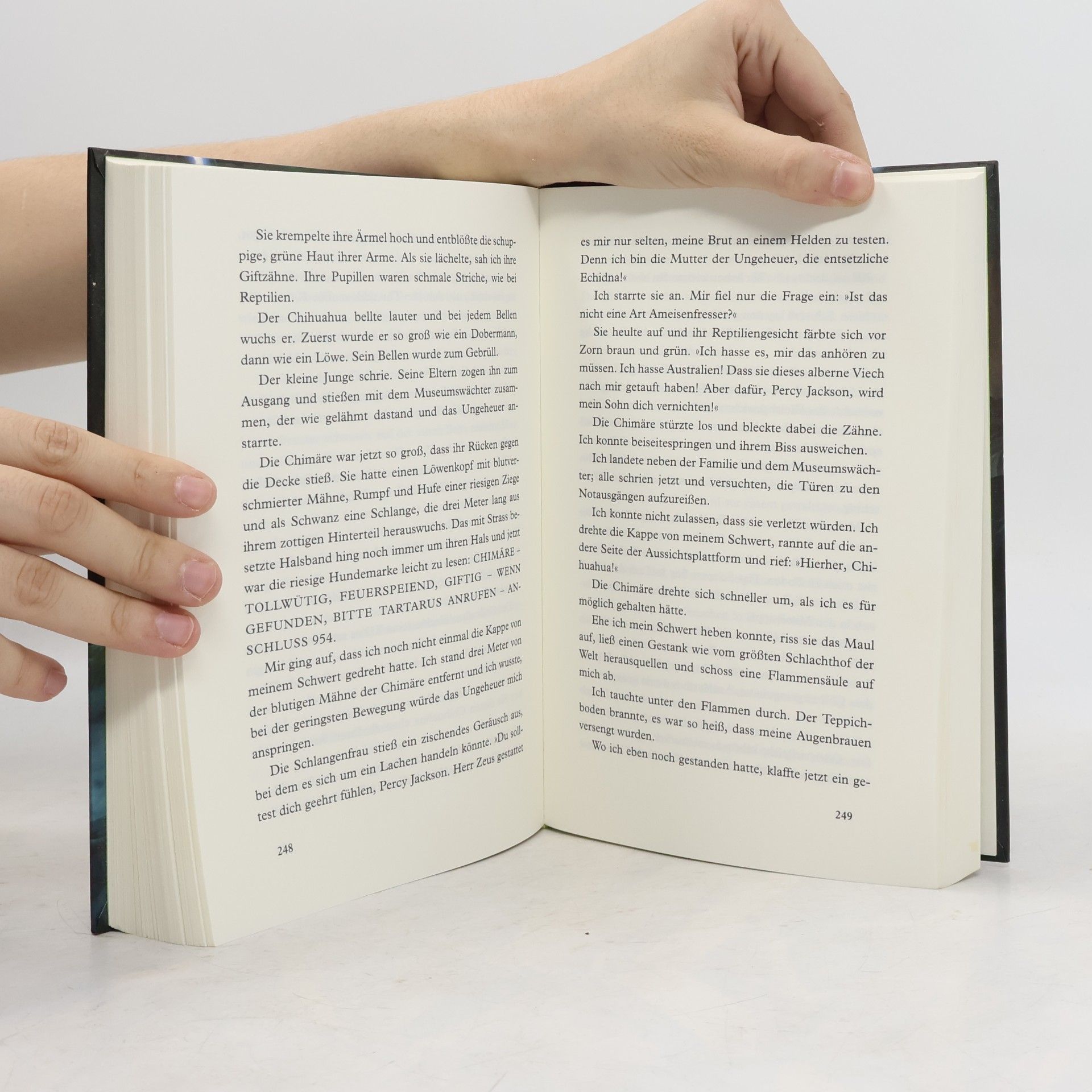 Rick Riordan Percy Jackson. Diebe im Olymp