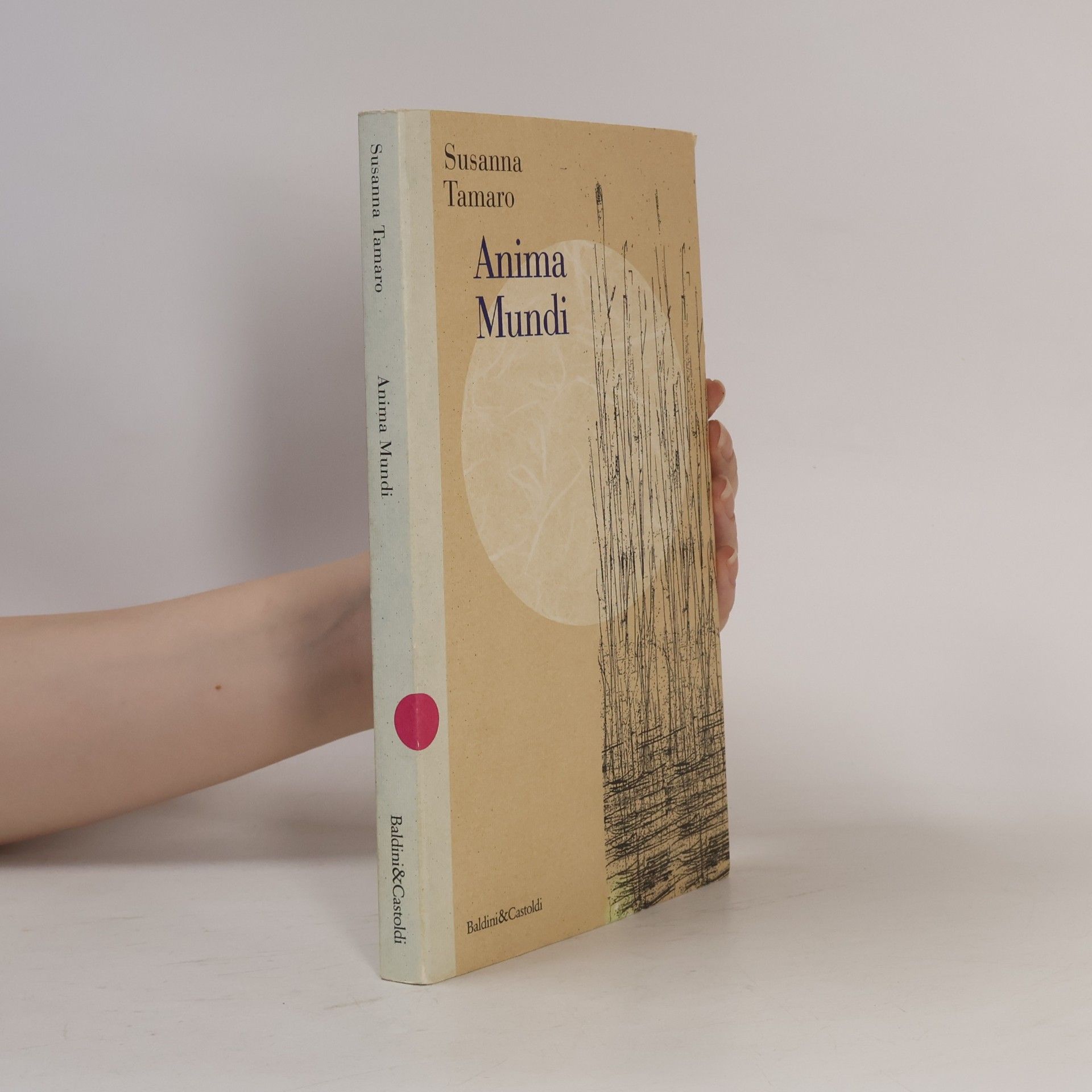 Susanna Tamaro Anima mundi
