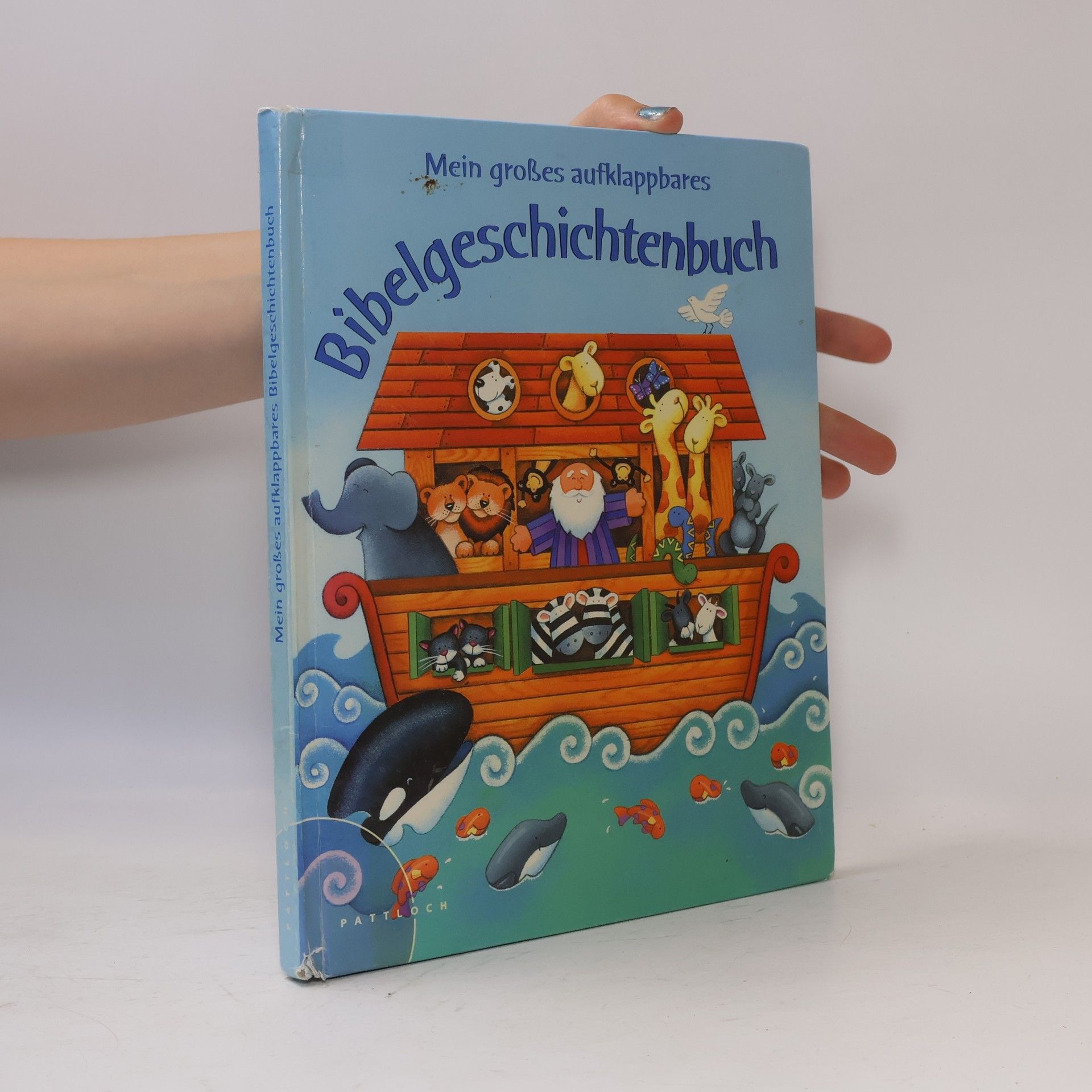 Allia Zobel Nolan Mein großes aufklappbares Bibelgeschichtenbuch