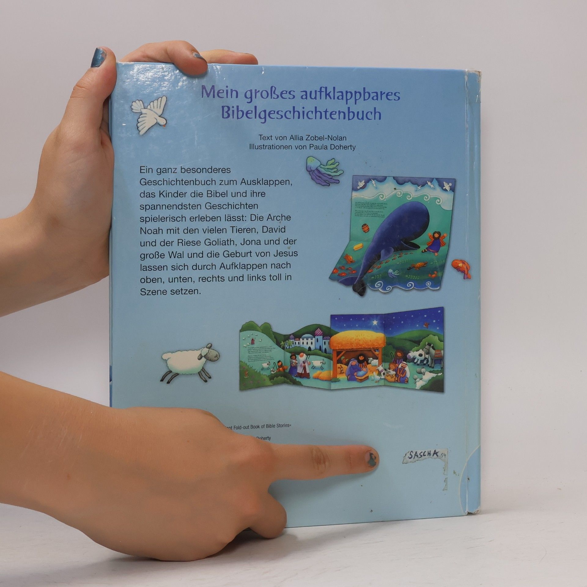 Allia Zobel Nolan Mein großes aufklappbares Bibelgeschichtenbuch