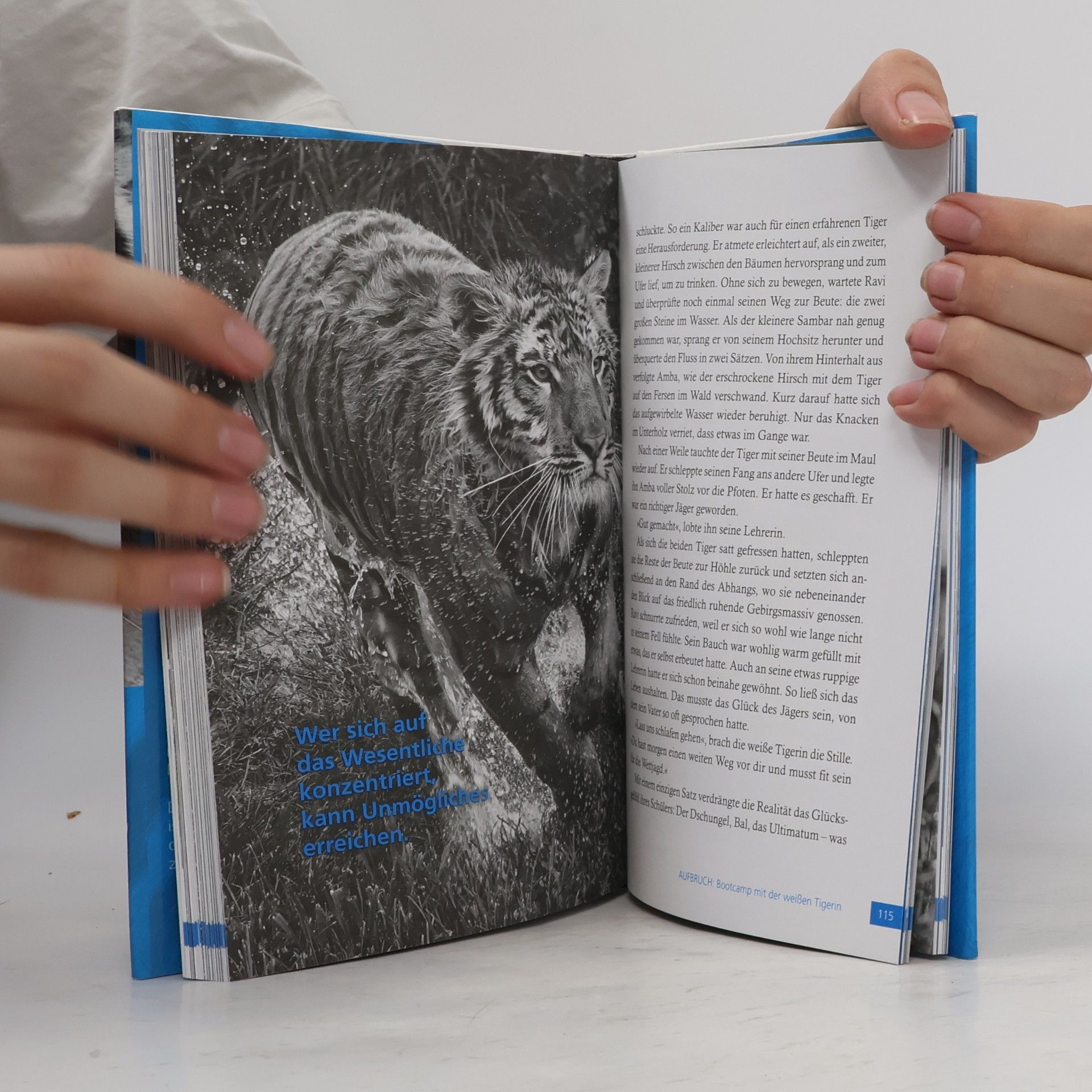 Lothar Seiwert Die Tiger-Strategie