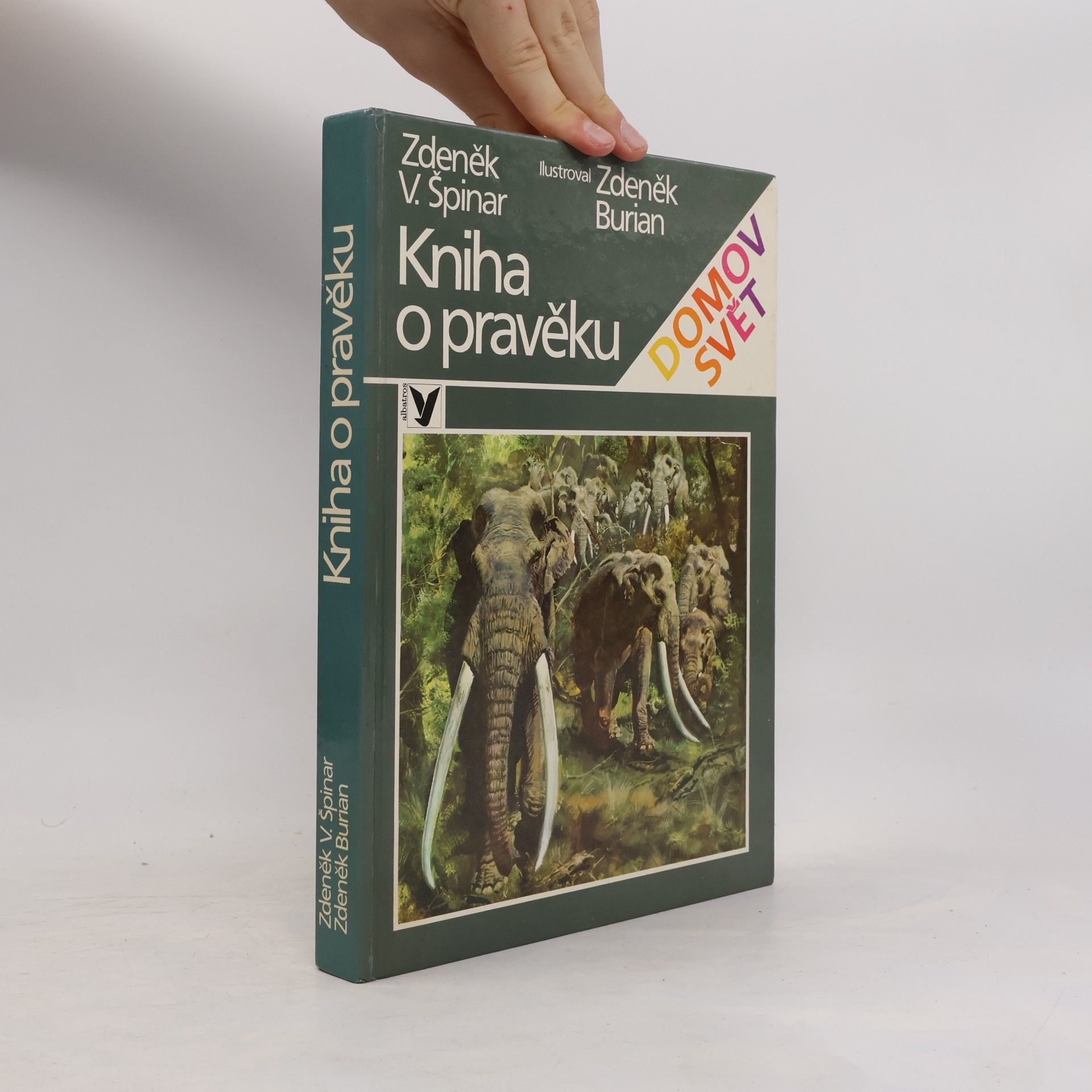 Kniha o pravěku