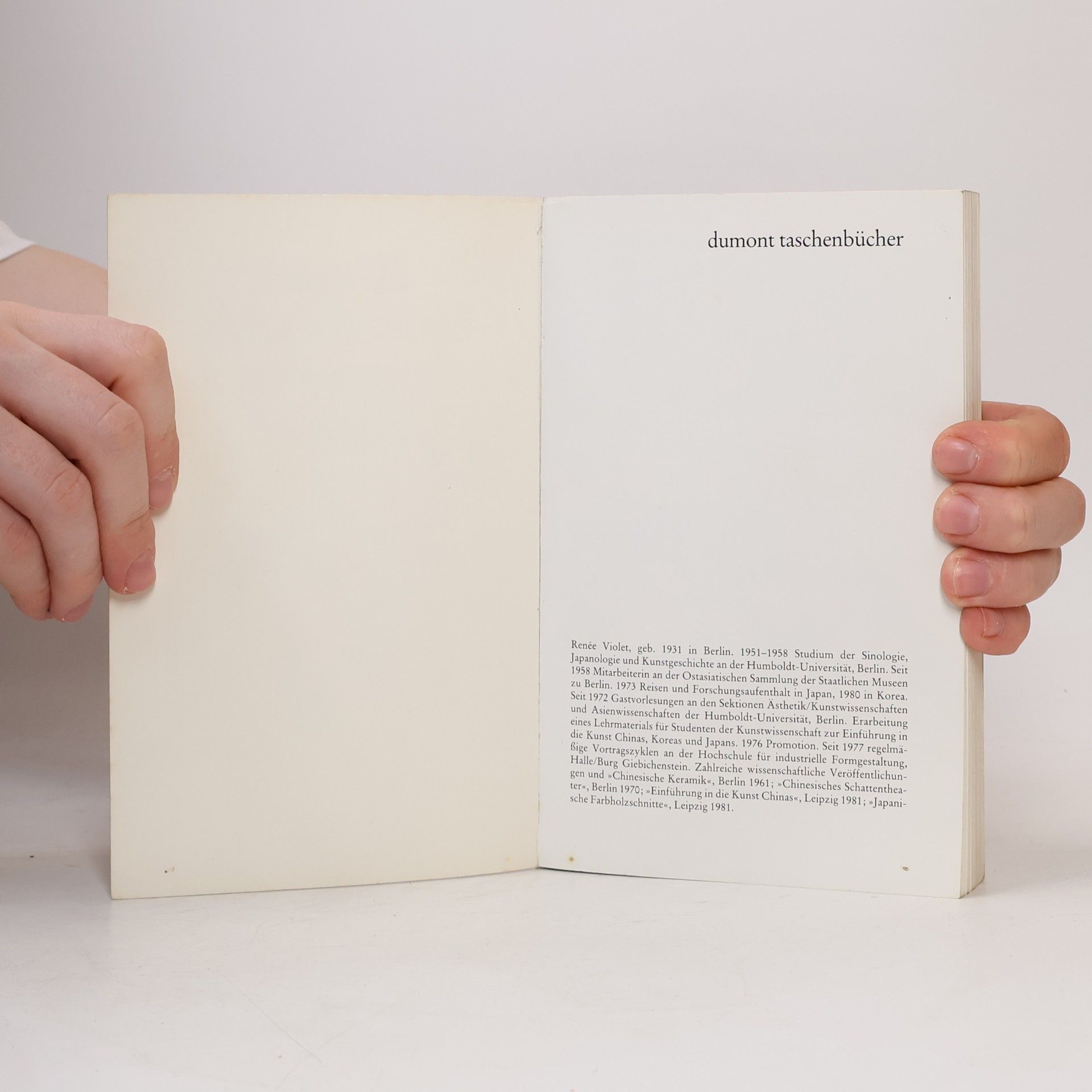 Renée Violet Kleine Geschichte der japanischen Kunst