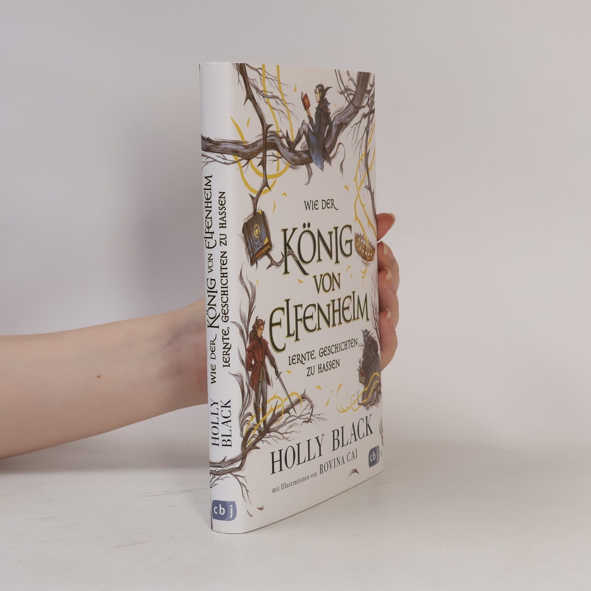 Holly Black Wie der König von Elfenheim lernte, Geschichten zu hassen