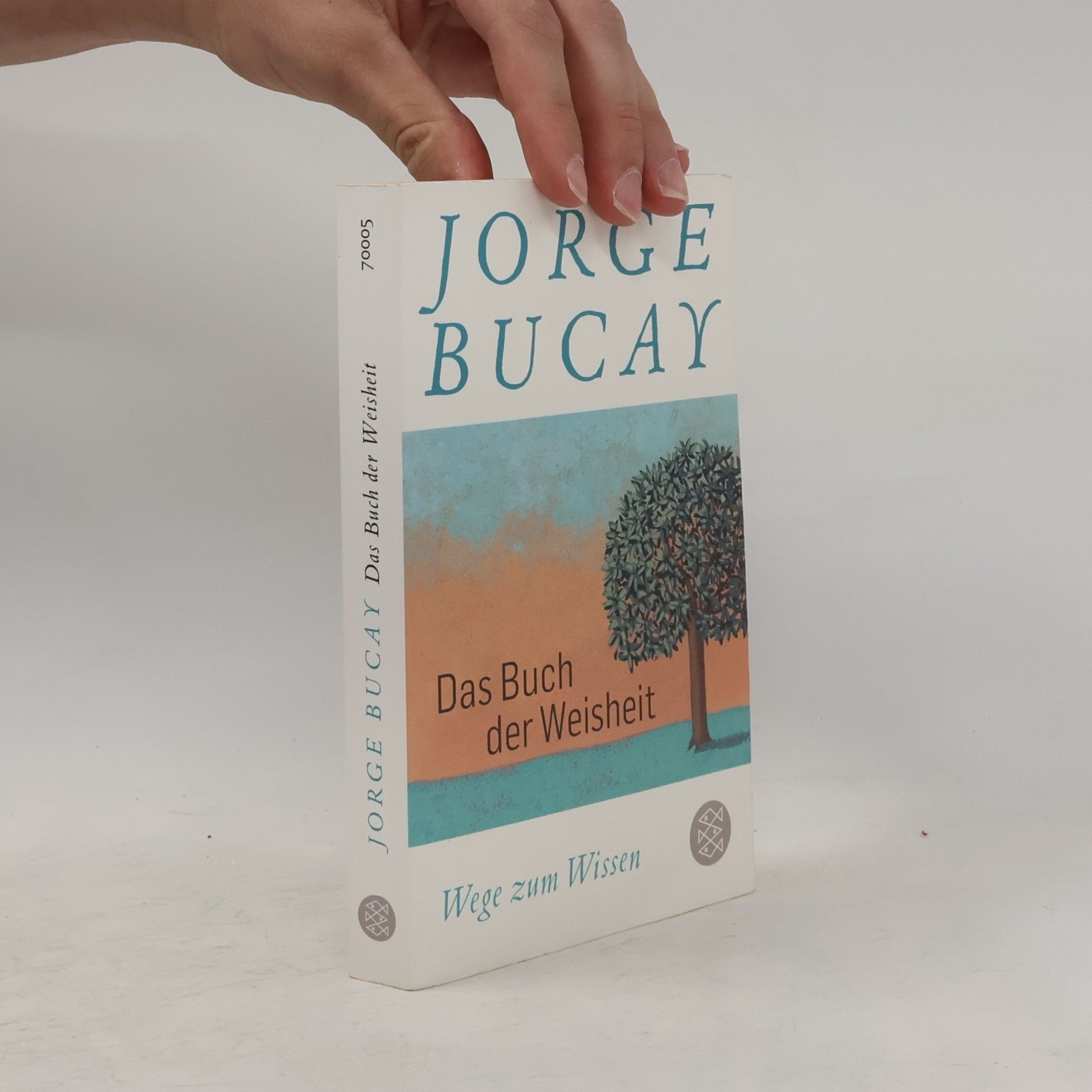 Jorge Bucay Das Buch der Weisheit