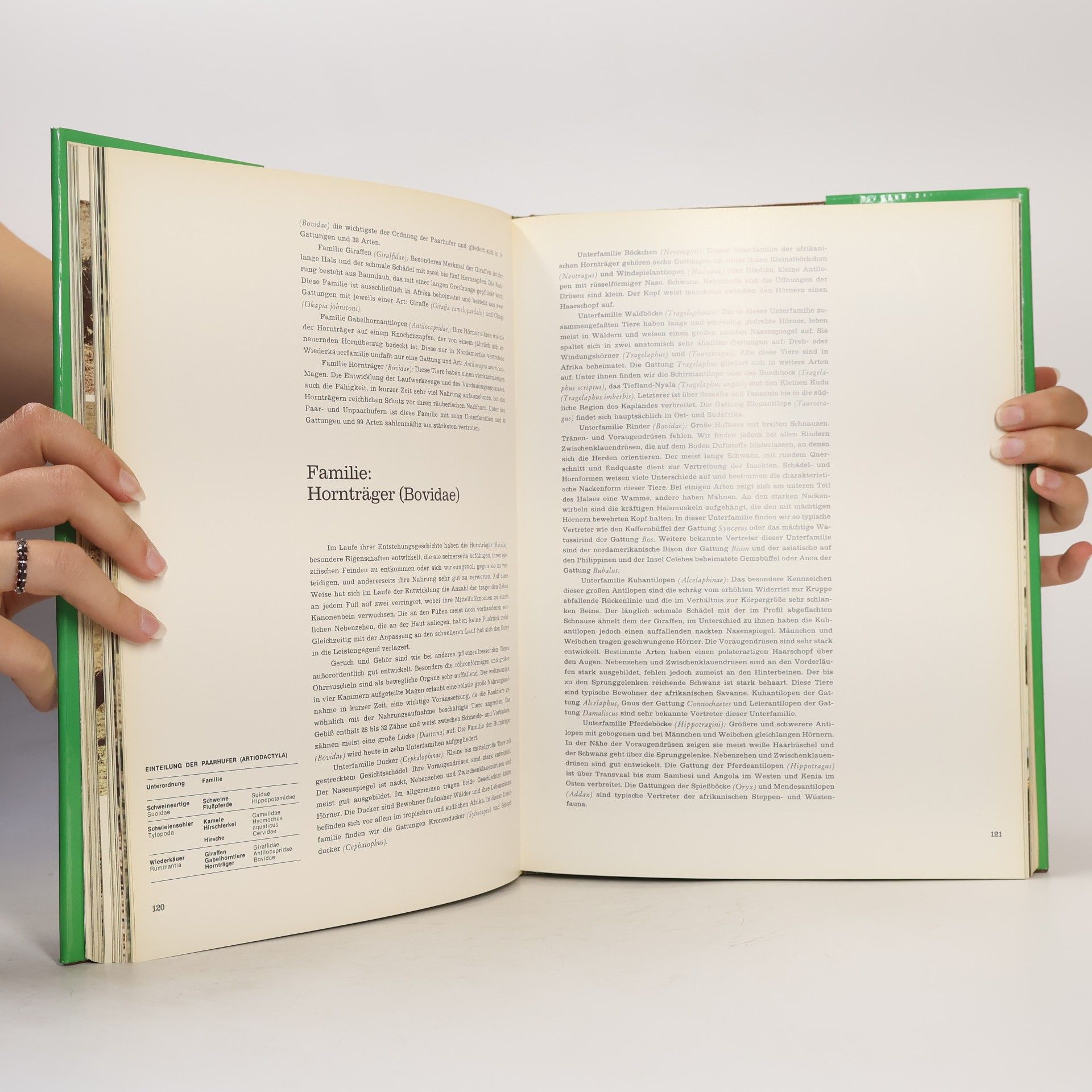 Jesús Mosterín Fauna: Das große Buch über das Leben der Tiere. 1.