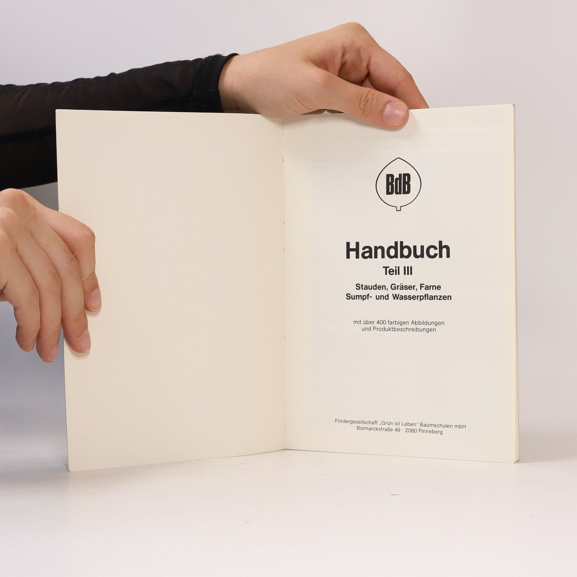 Gisela Zinkernagel BdB-Handbuch III. Stauden