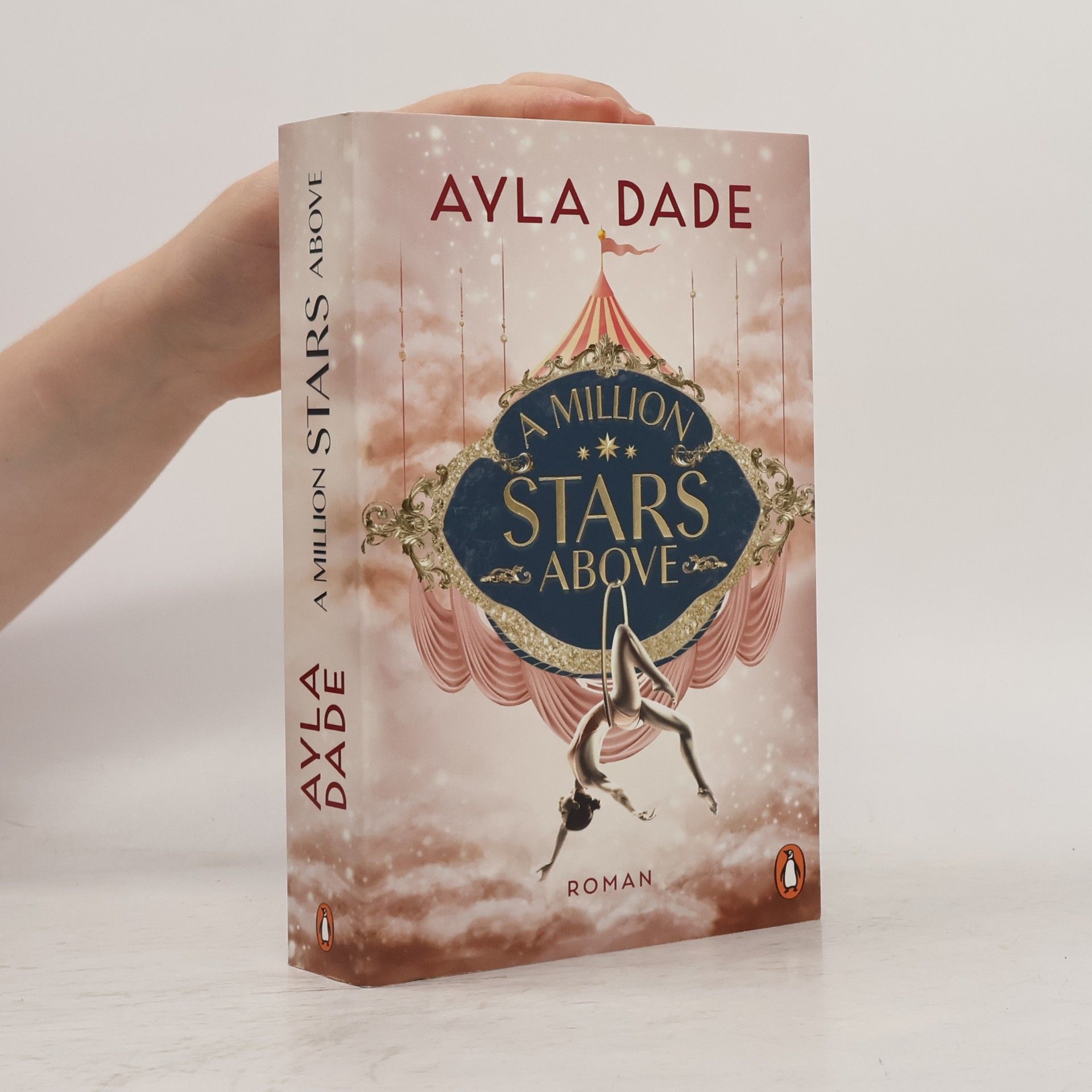 Ayla Dade A Million Stars Above / Sky Circus Bd.1
