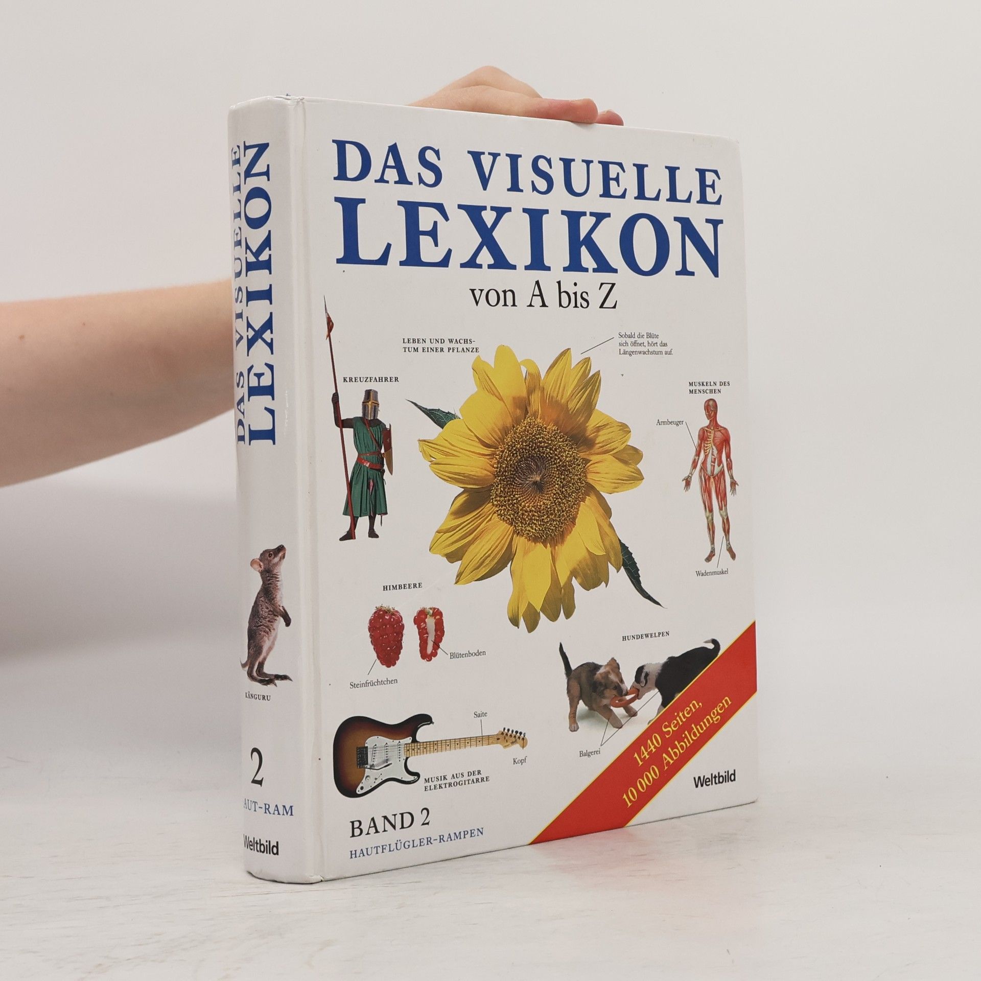 Autorenkollektiv Das visuelle Lexikon von A bis Z. Band 2