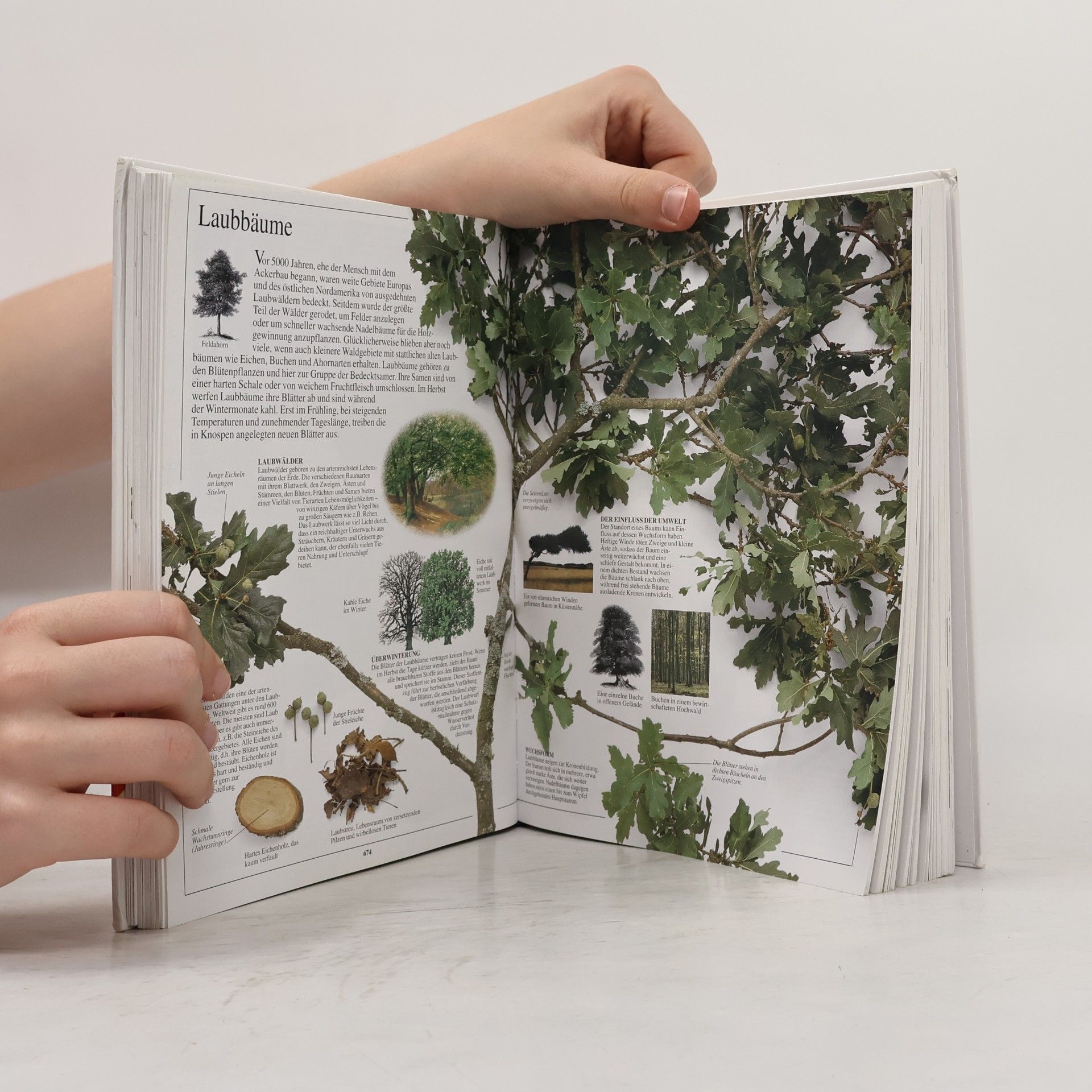 Autorenkollektiv Das visuelle Lexikon von A bis Z. Band 2