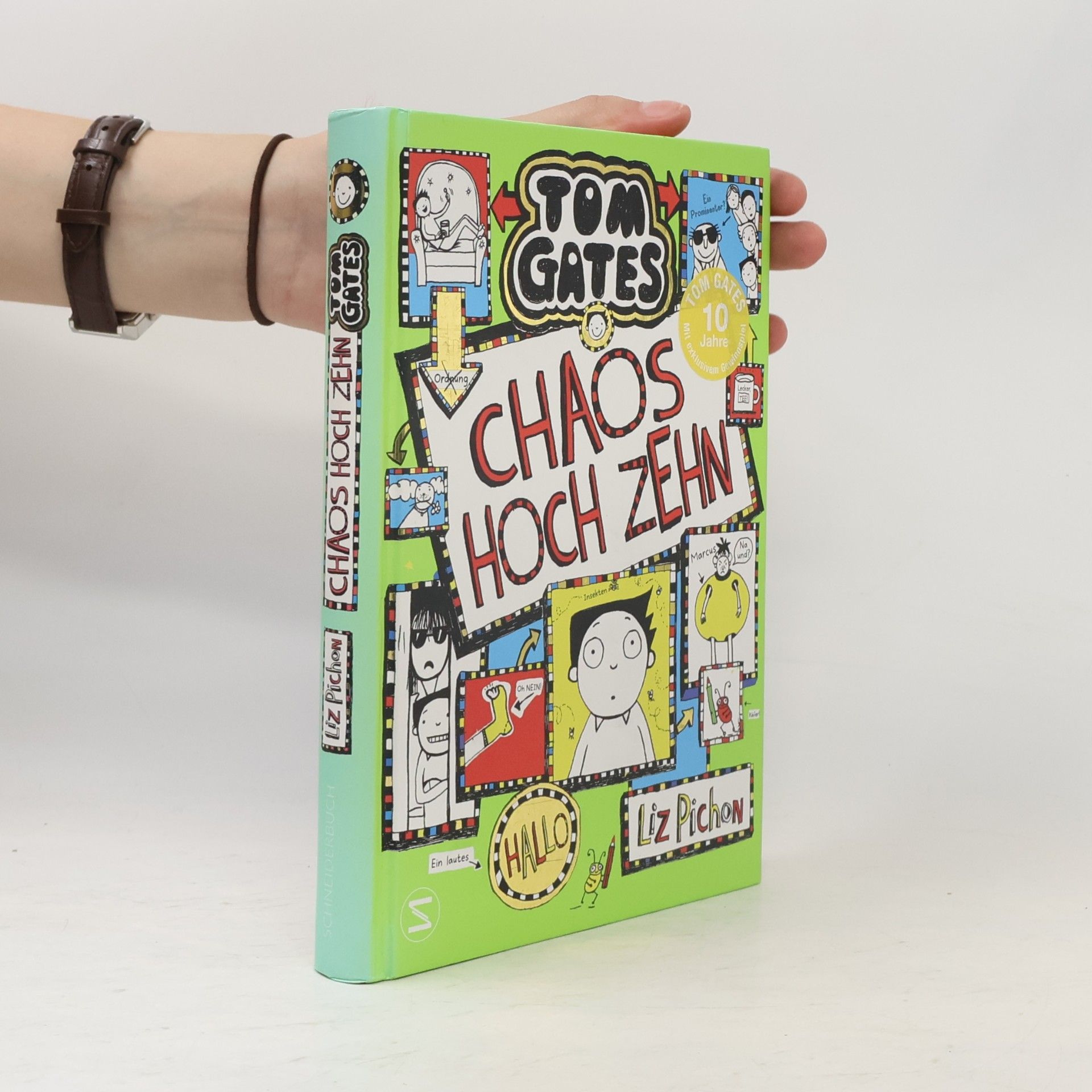 Liz Pichon Chaos hoch zehn