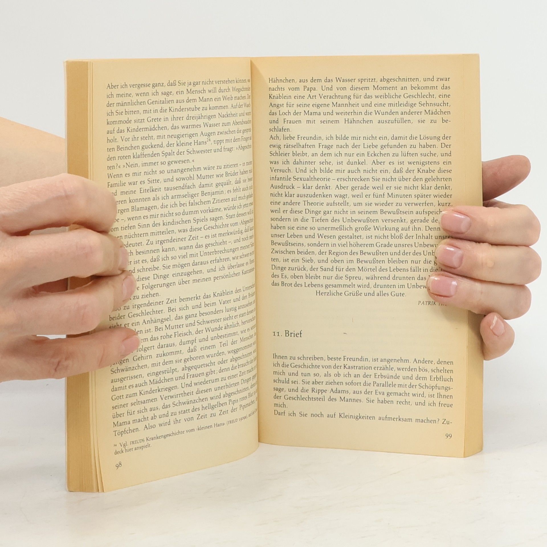 Georg Groddeck Das Buch vom Es