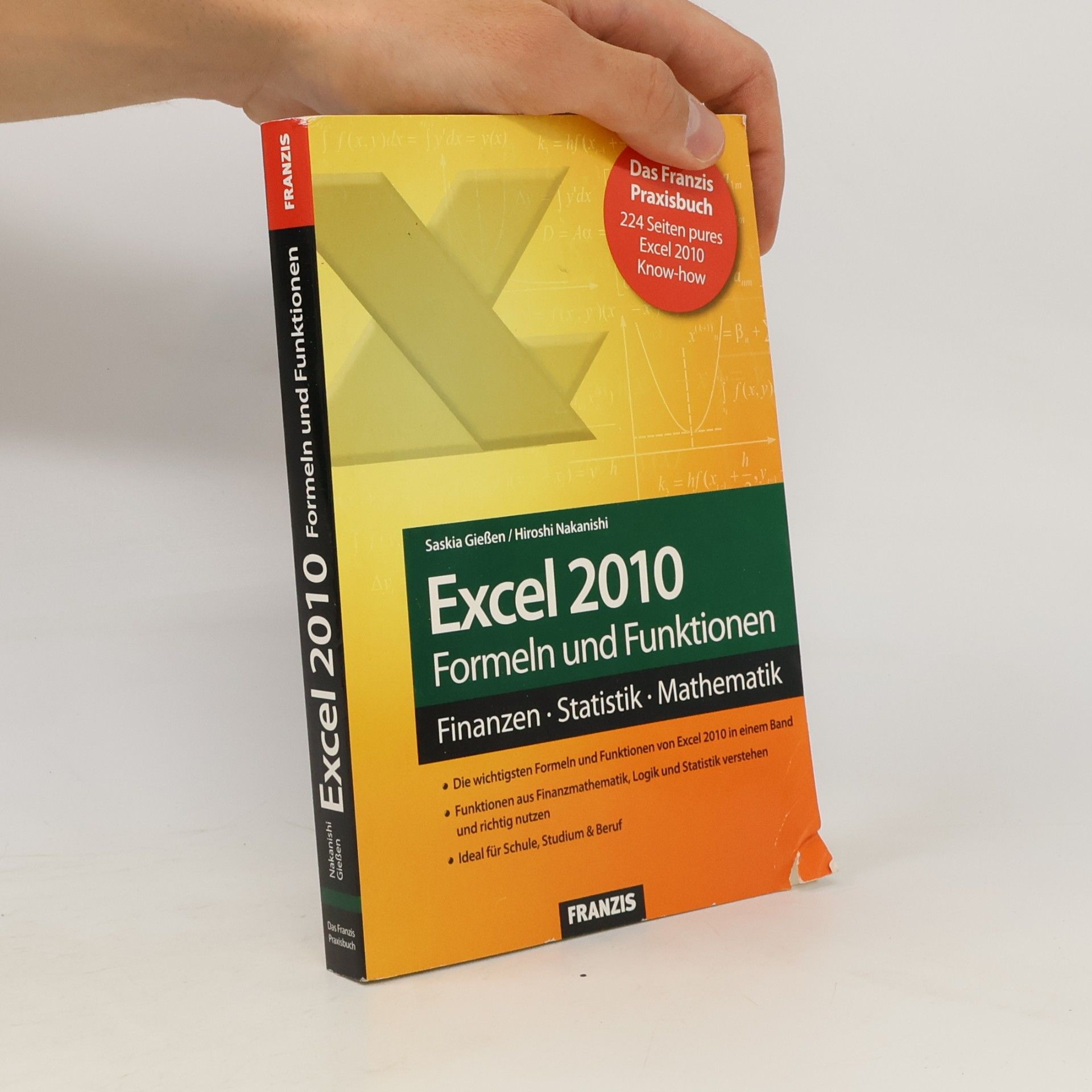 Saskia Gießen Excel 2010 Formeln und Funktionen