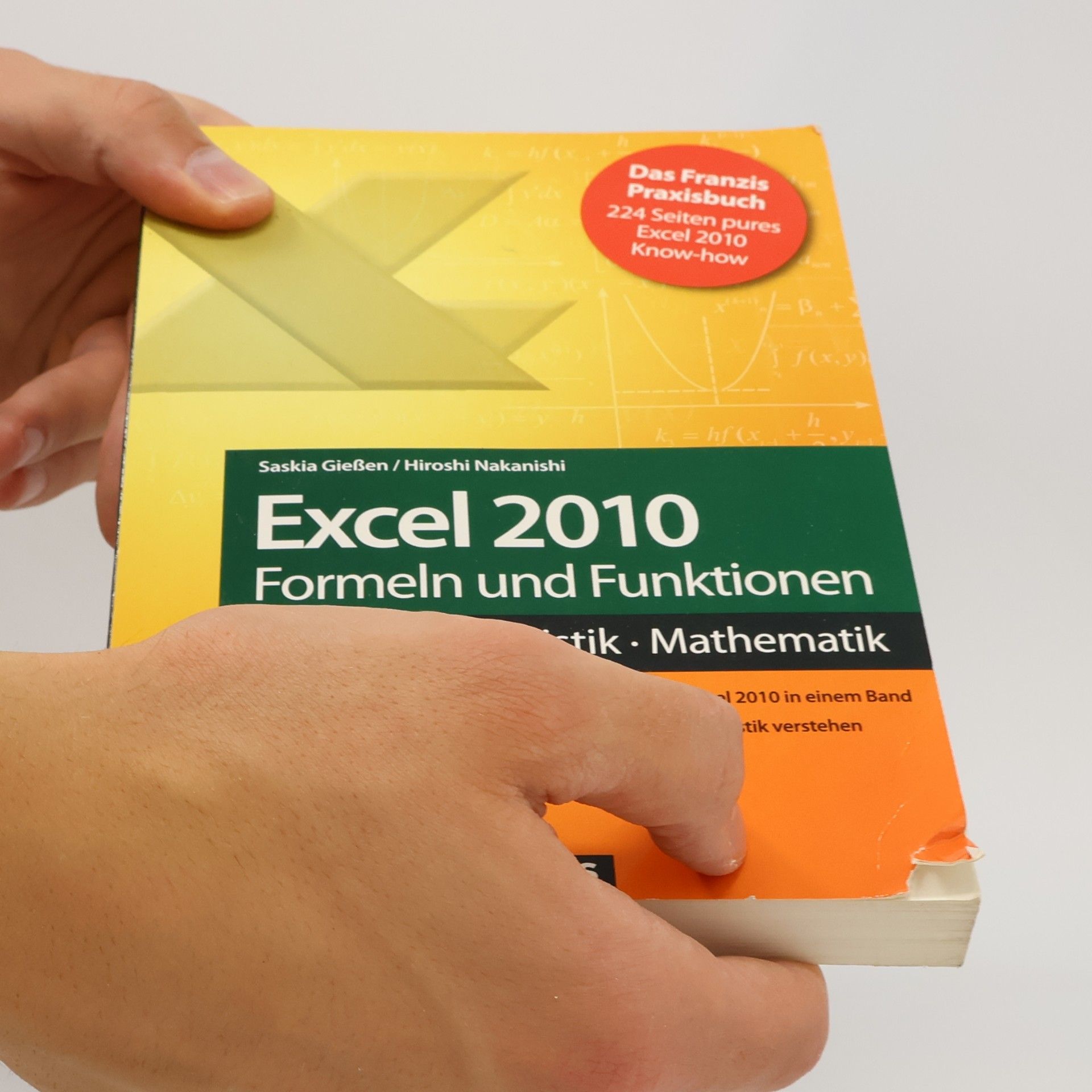 Saskia Gießen Excel 2010 Formeln und Funktionen