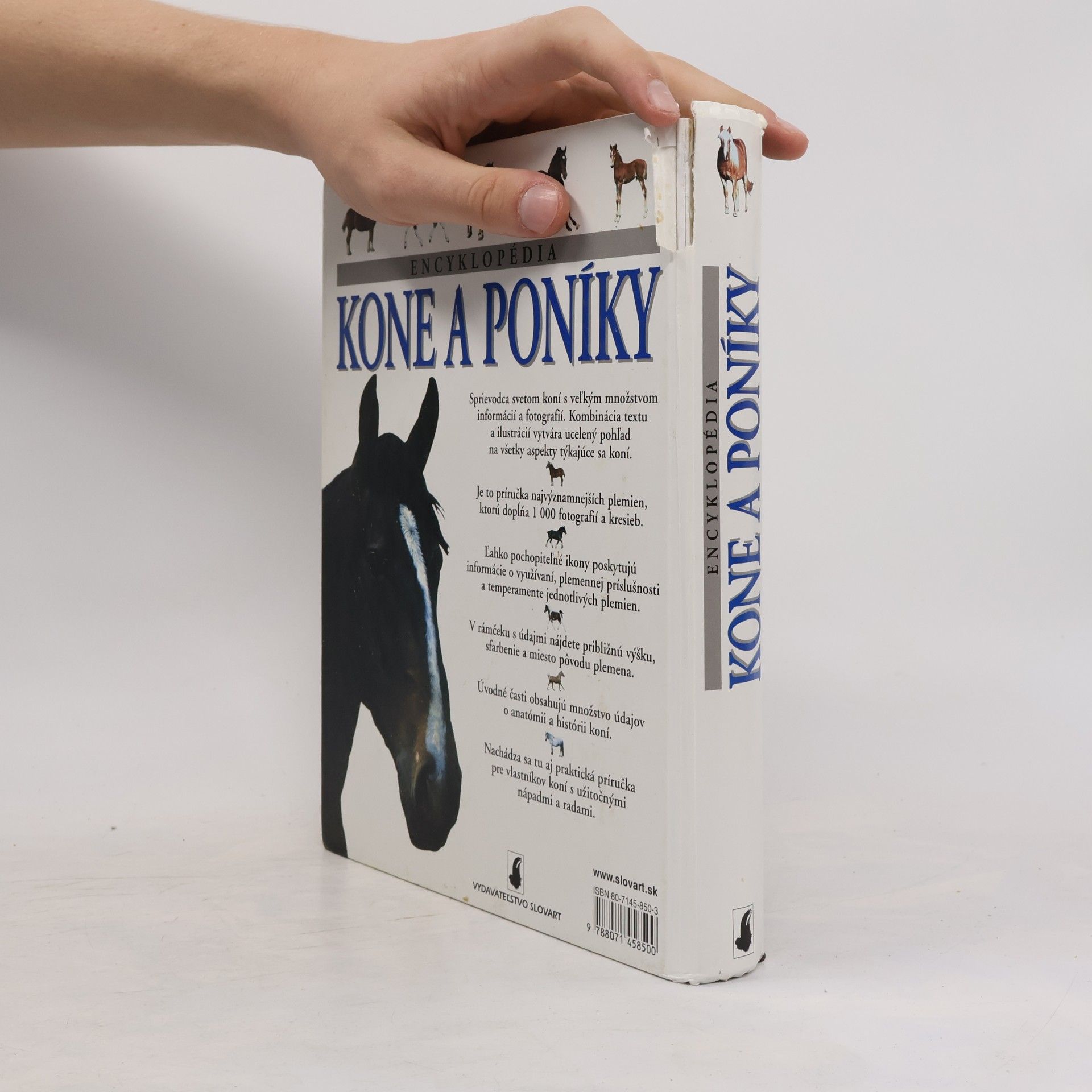 Tamsin Pickeral Encyklopédia Kone a poníky